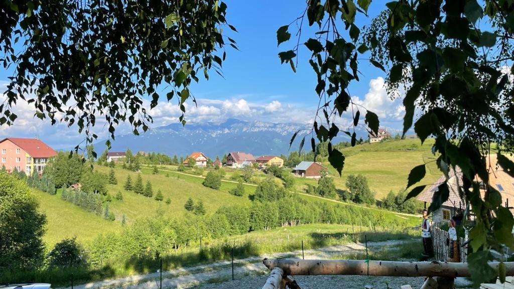 CABANA CU MESTECENI view 4