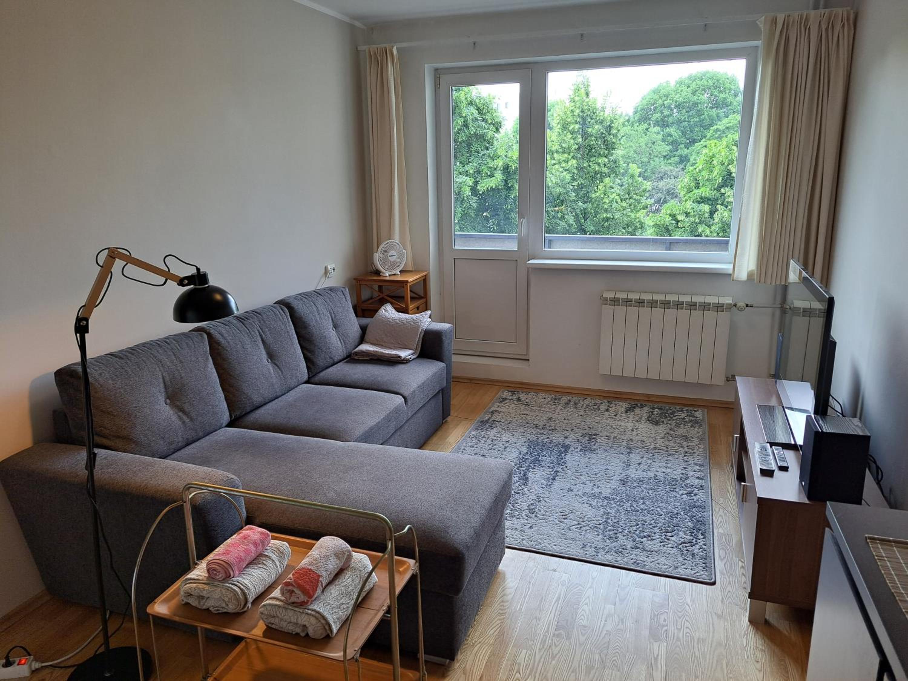 Volvi Apartment view 2