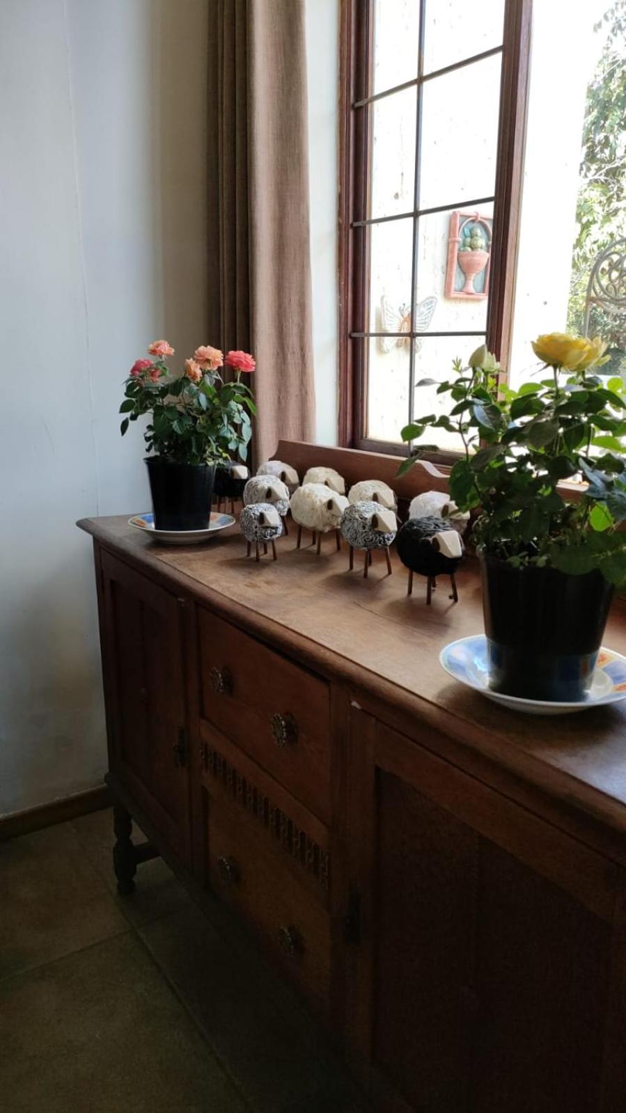 Photo 47