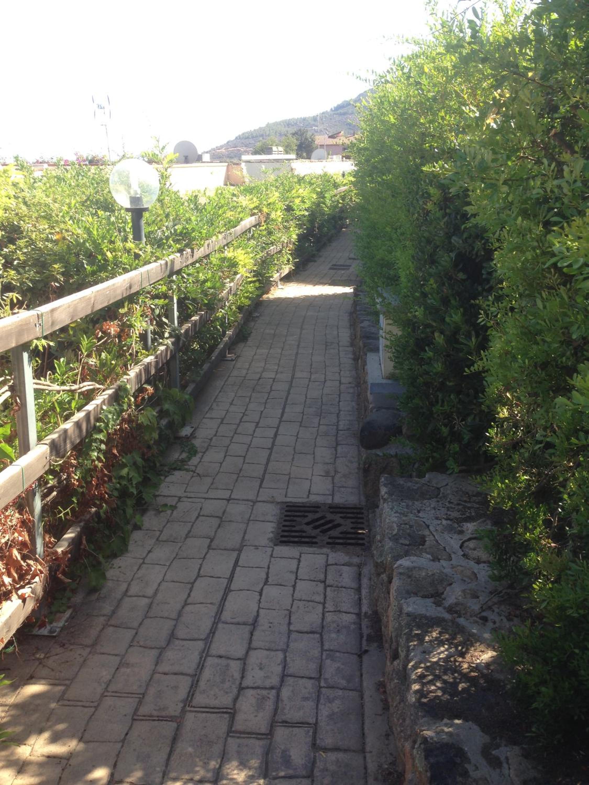 Photo 38