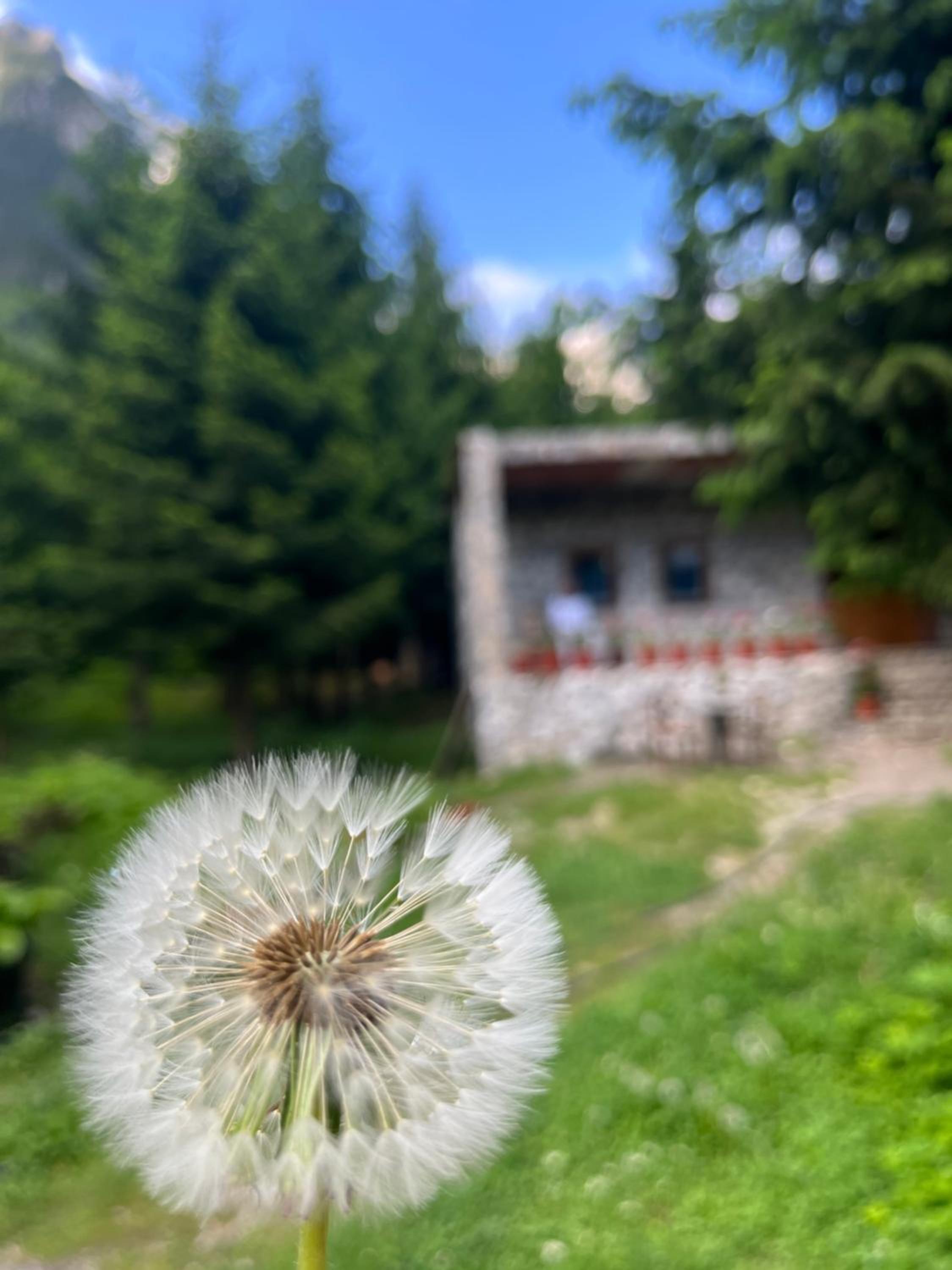 Guest house Hyrmet Demushi