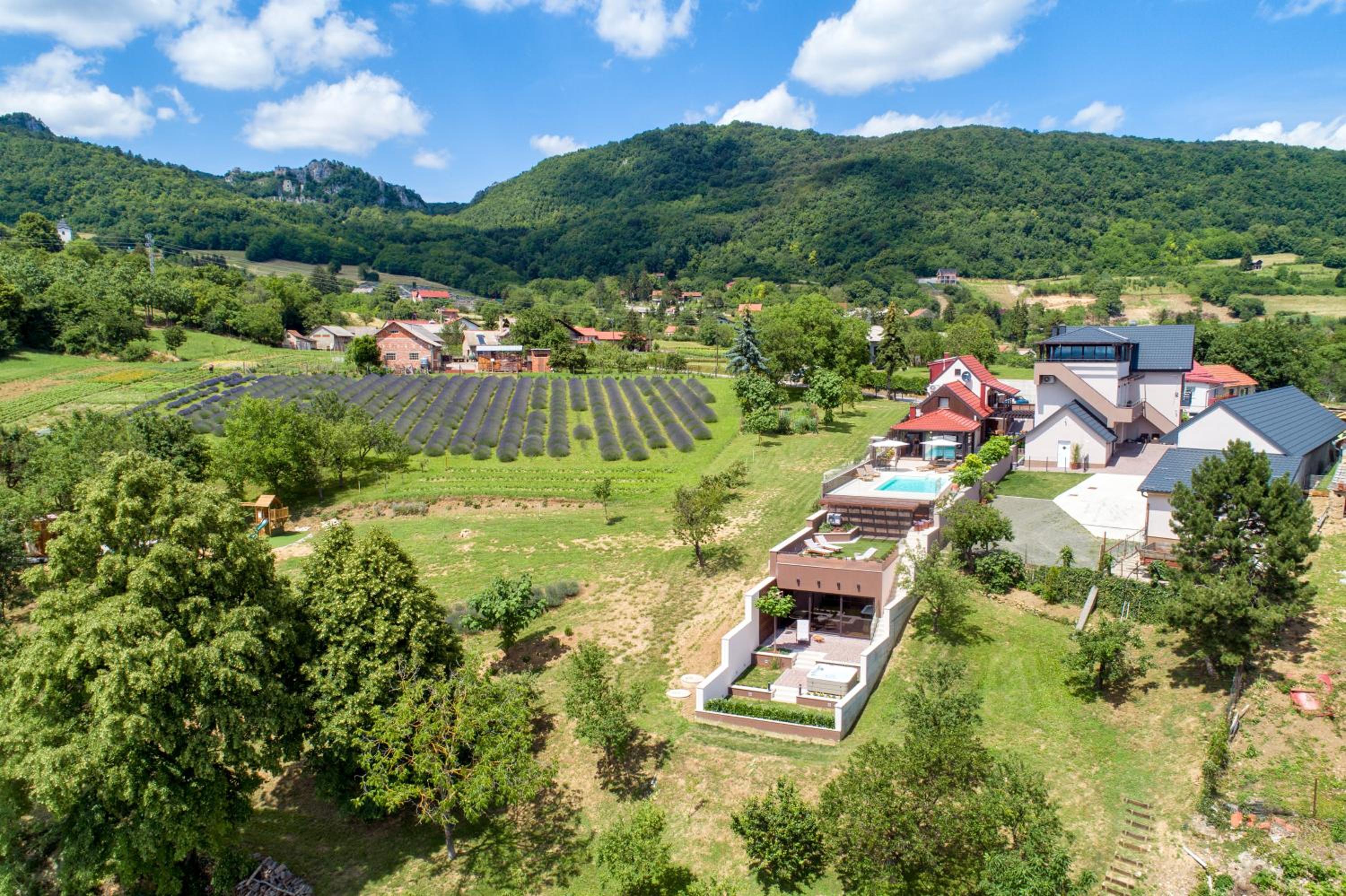 Florek & Florica Kalnik view 5
