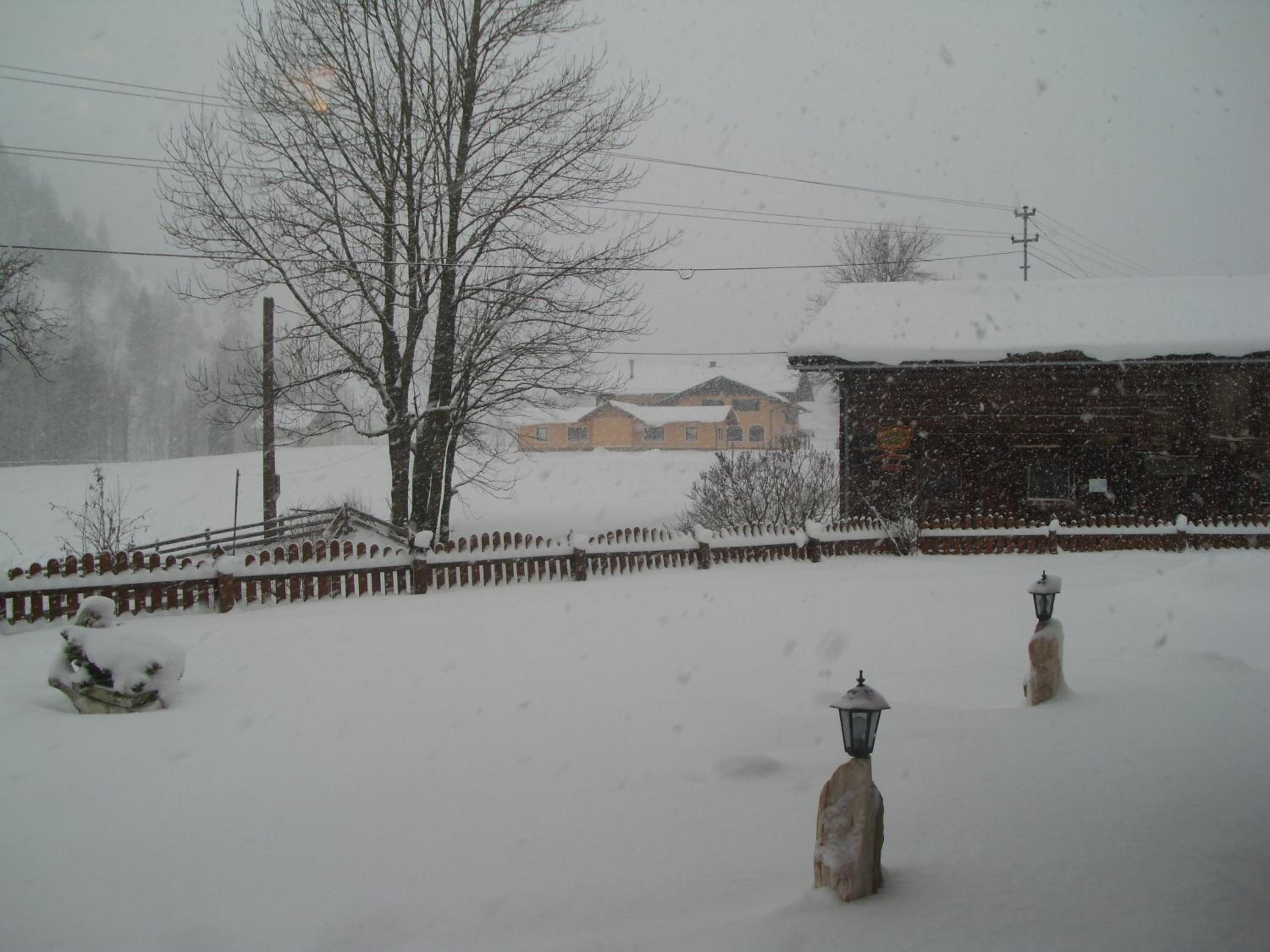 Photo 44