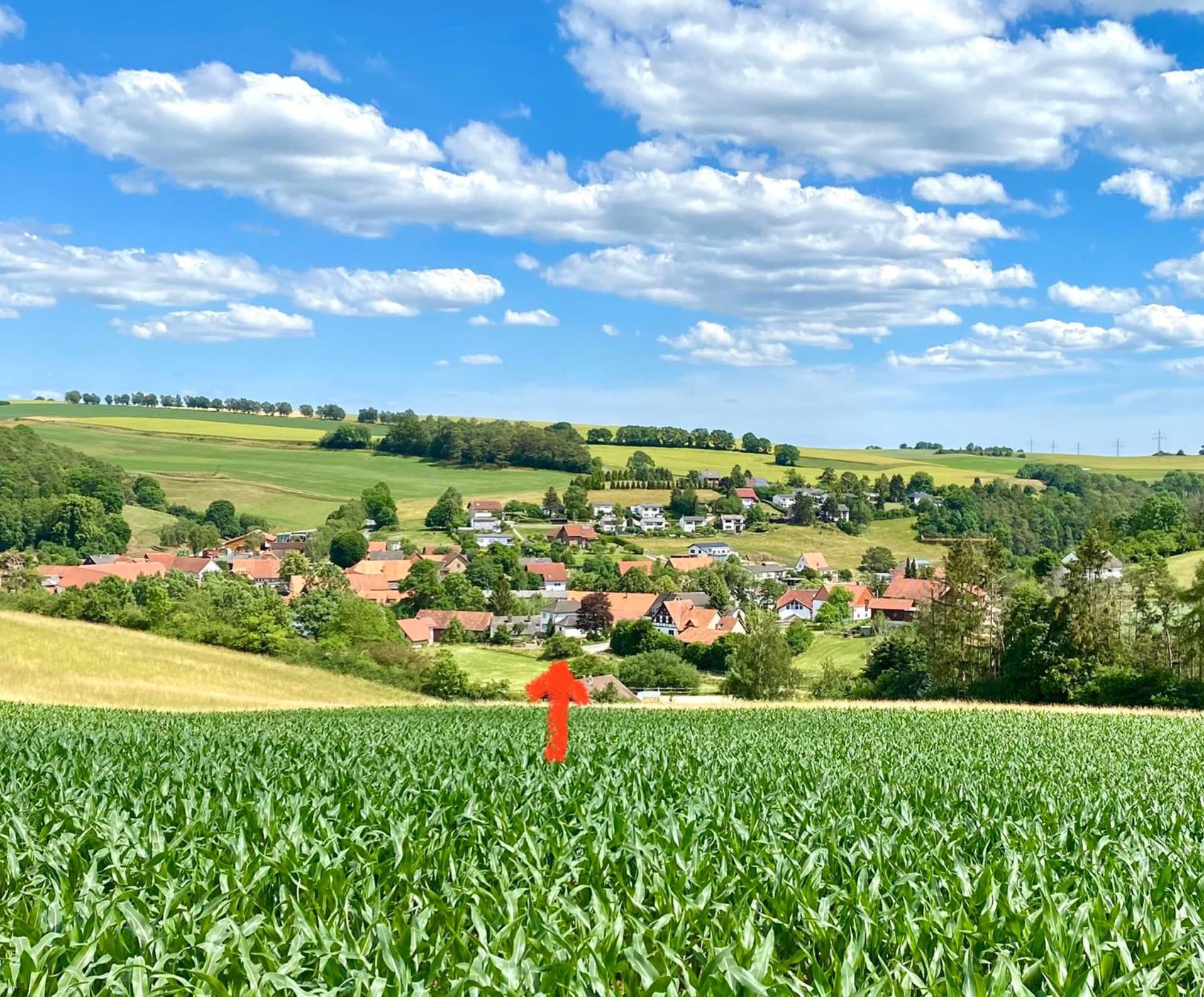 Alraftsblick