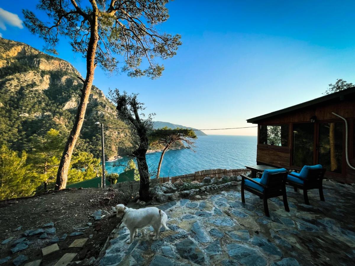 outdoor BBQ area