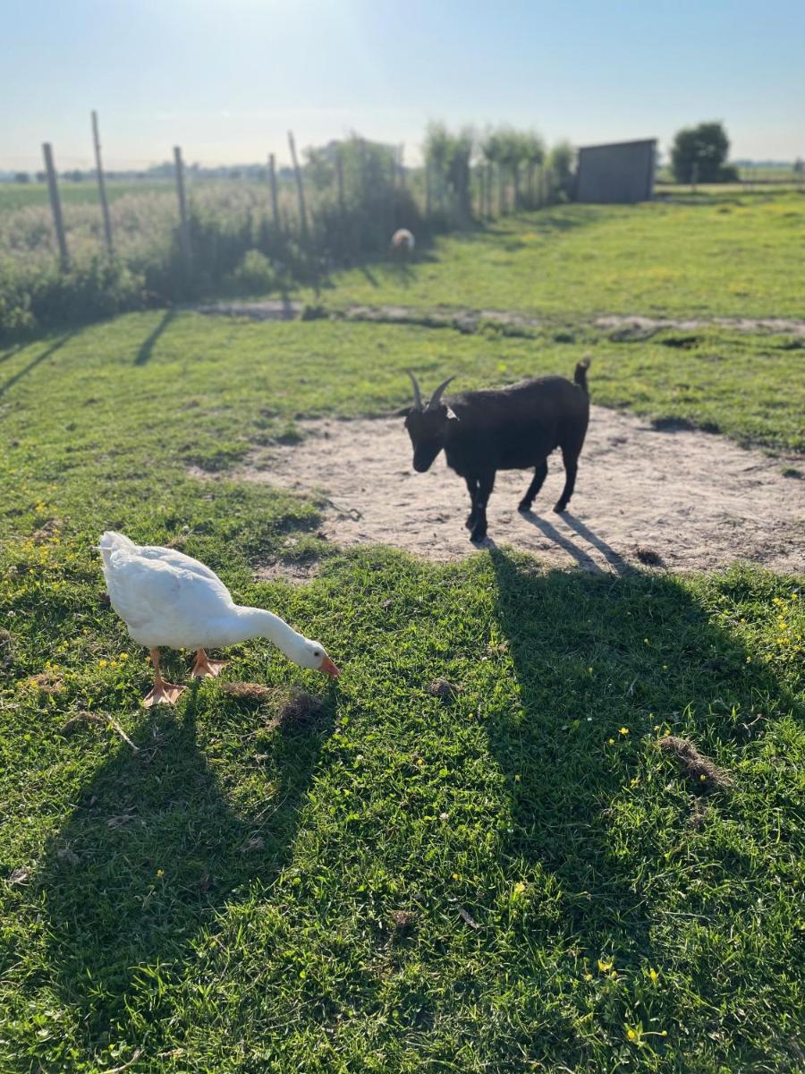De Wabisabiboerderij