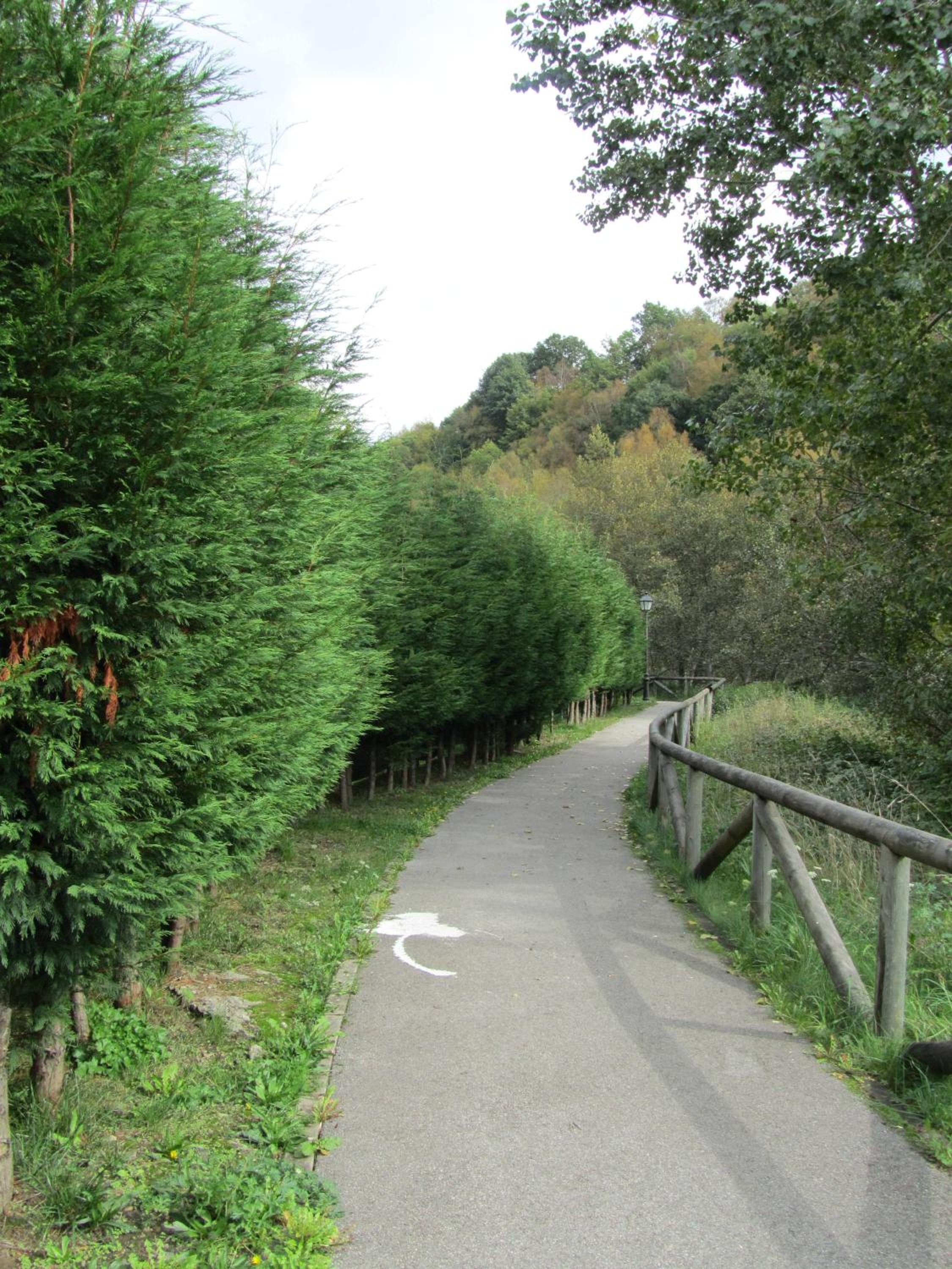 Photo 79