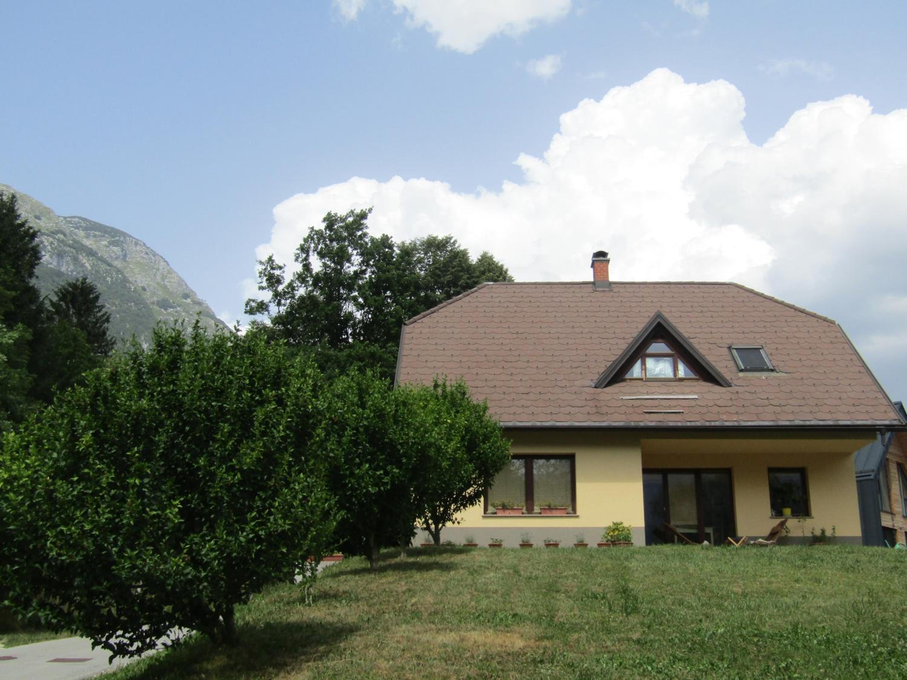 Photo 31