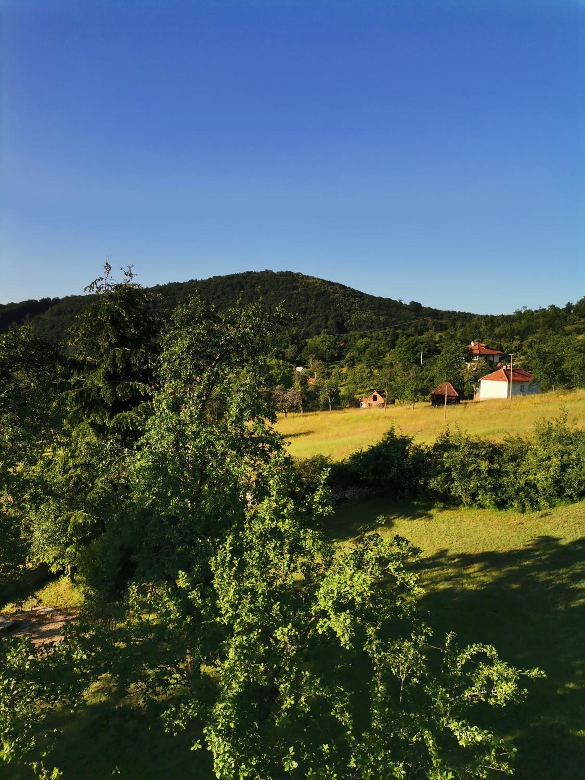 Srdića Kuća view 4