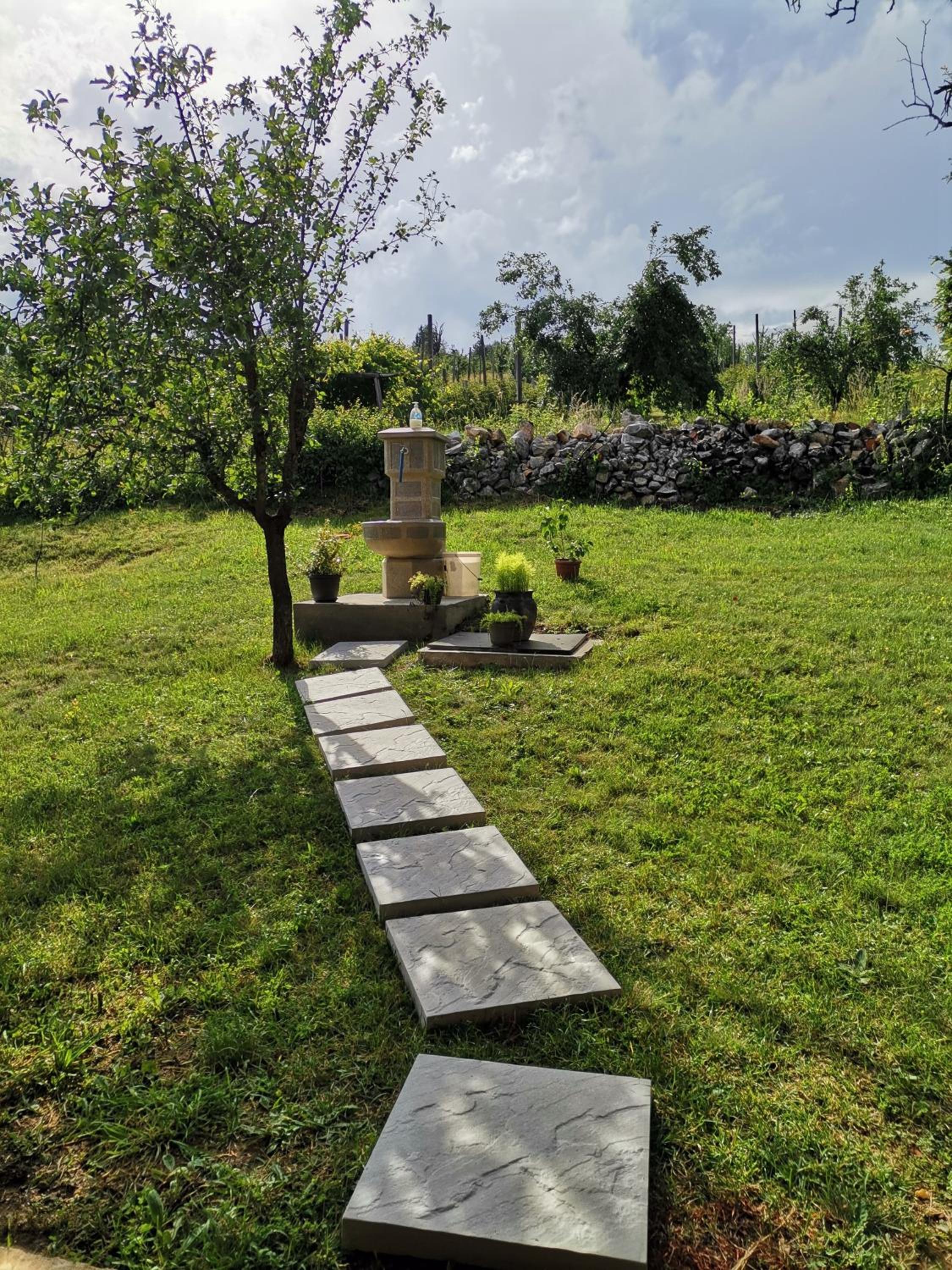 Srdića Kuća view 3