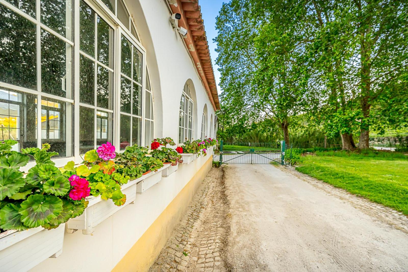 Quinta do Boição view 4
