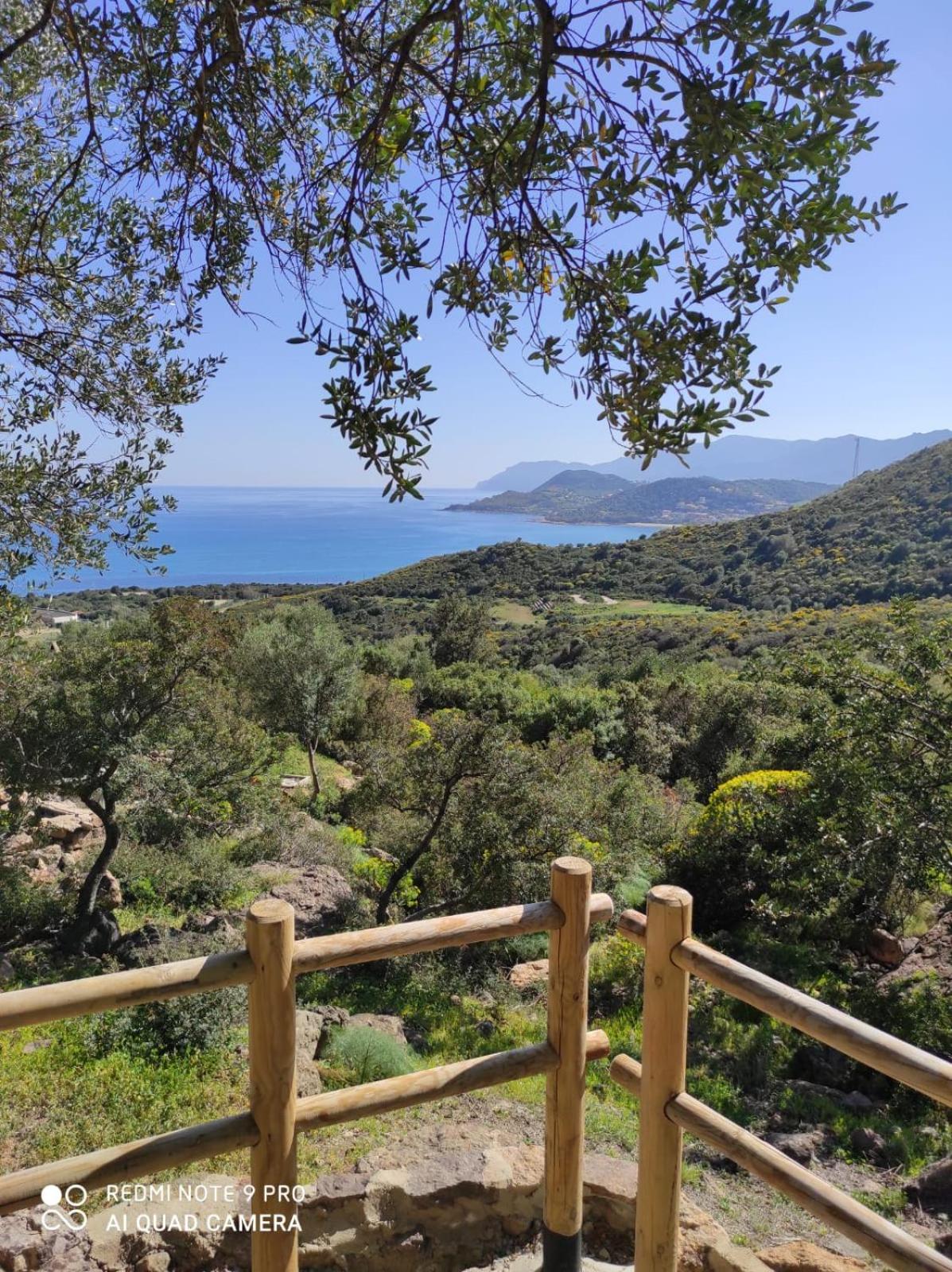 villa Dammar view 3