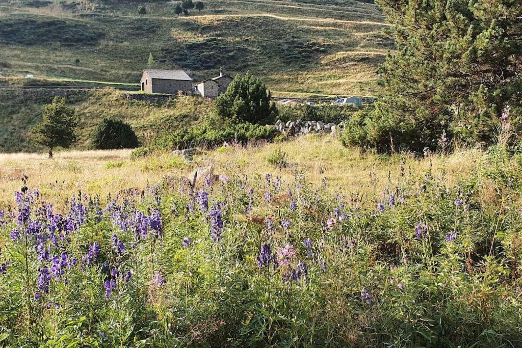Acollidor estudi amb encant nòrdic i amb parquing, al costat de Grandvalira