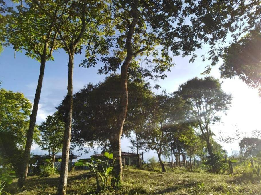 Refugio Naoak