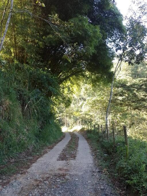Refugio Naoak