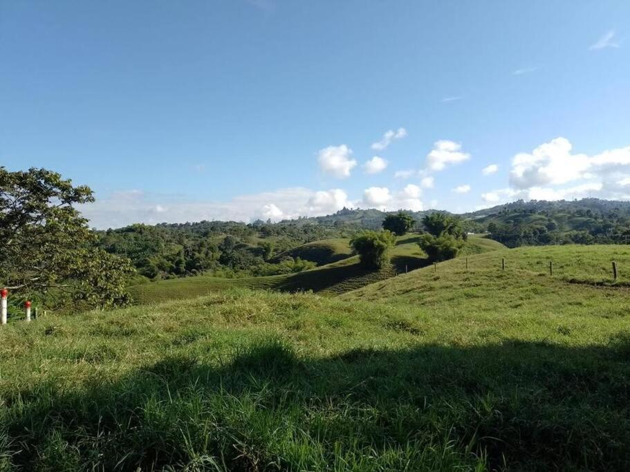 Refugio Naoak