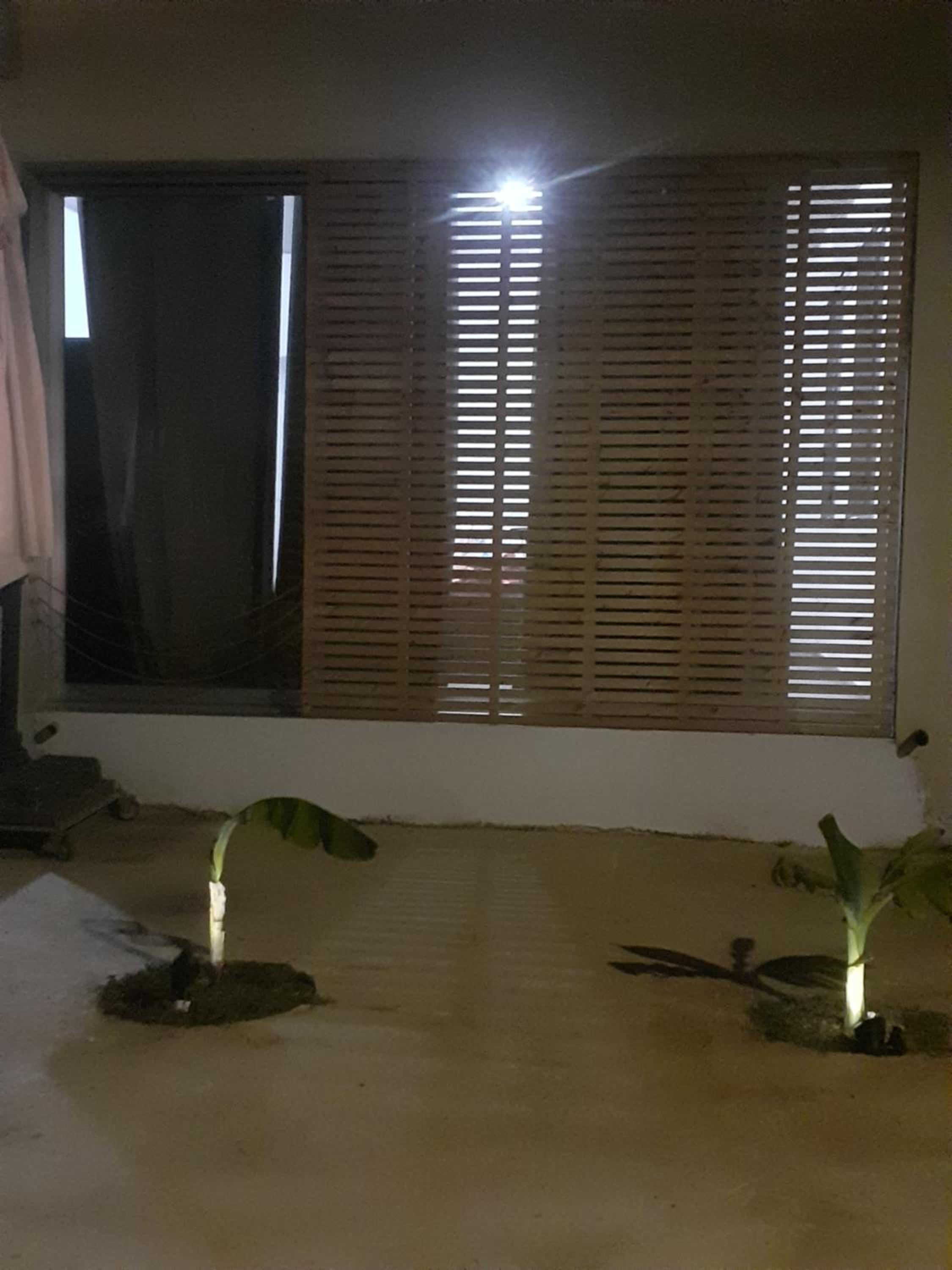 Hotel ARIADNIS 3 BEDs apt - Image 1