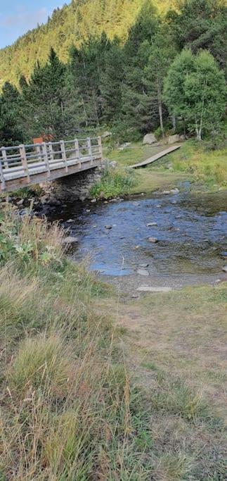 Acollidor estudi amb encant nòrdic i amb parquing, al costat de Grandvalira