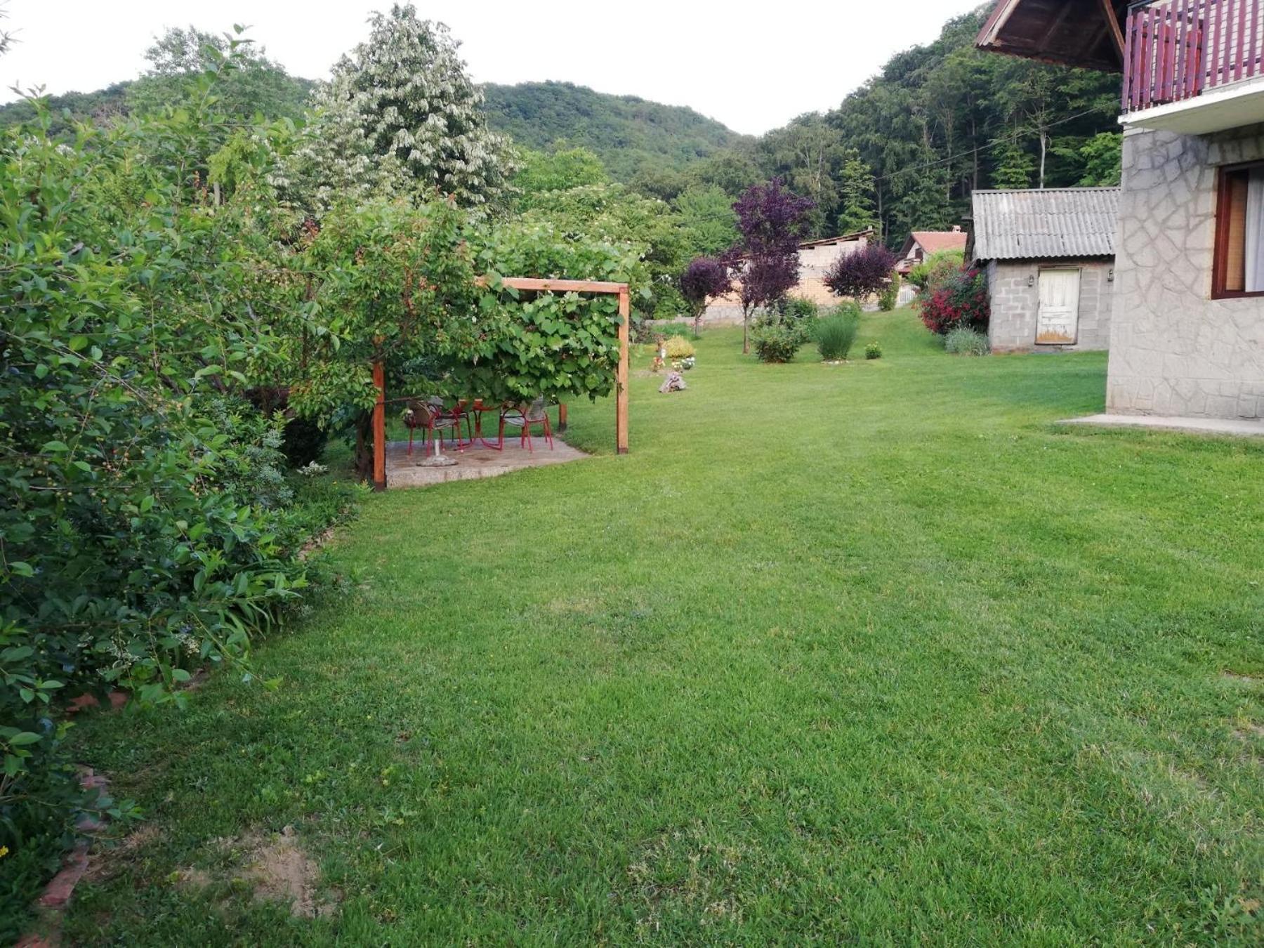 Photo 25