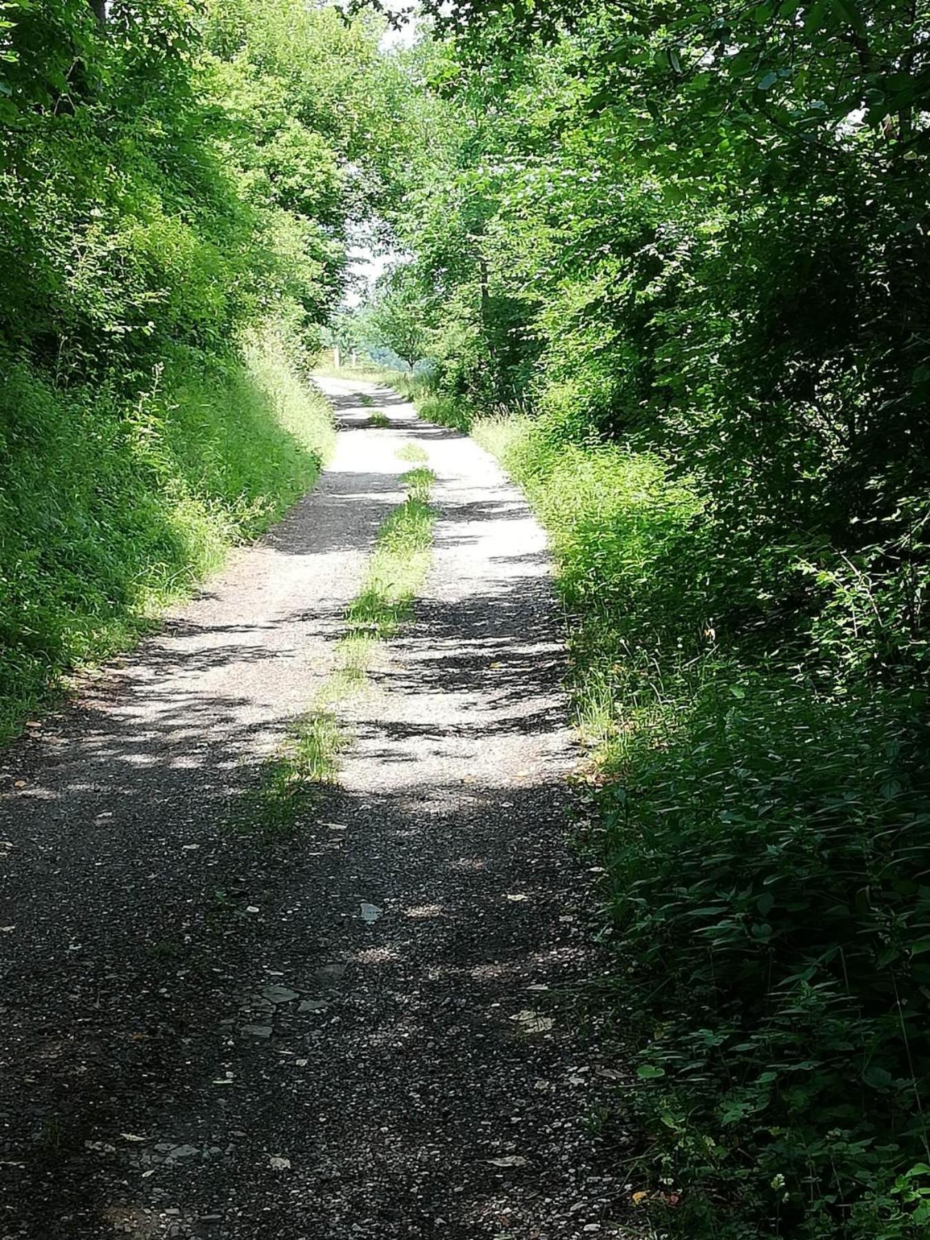 Photo 37
