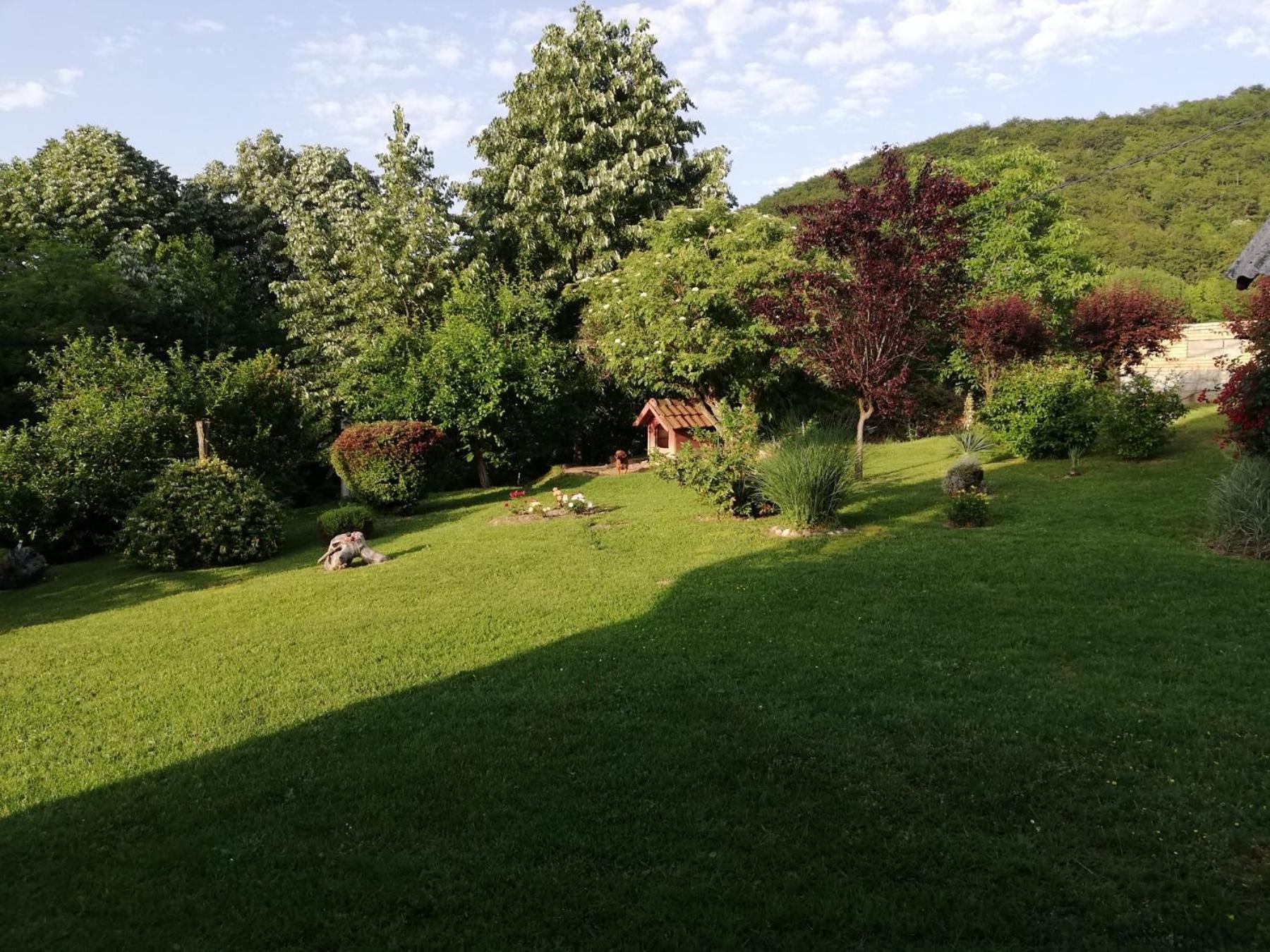 Photo 26