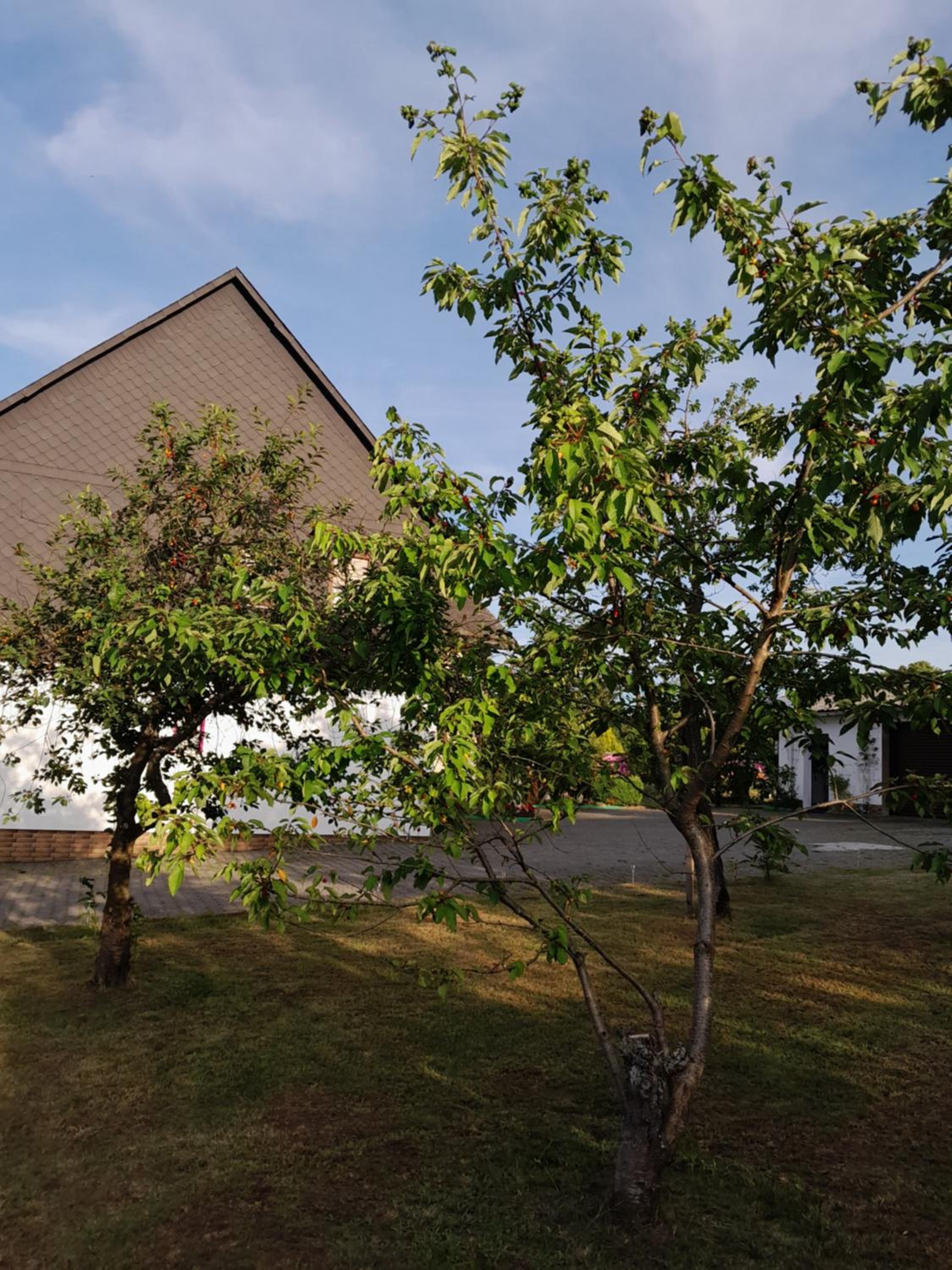Casa Natur