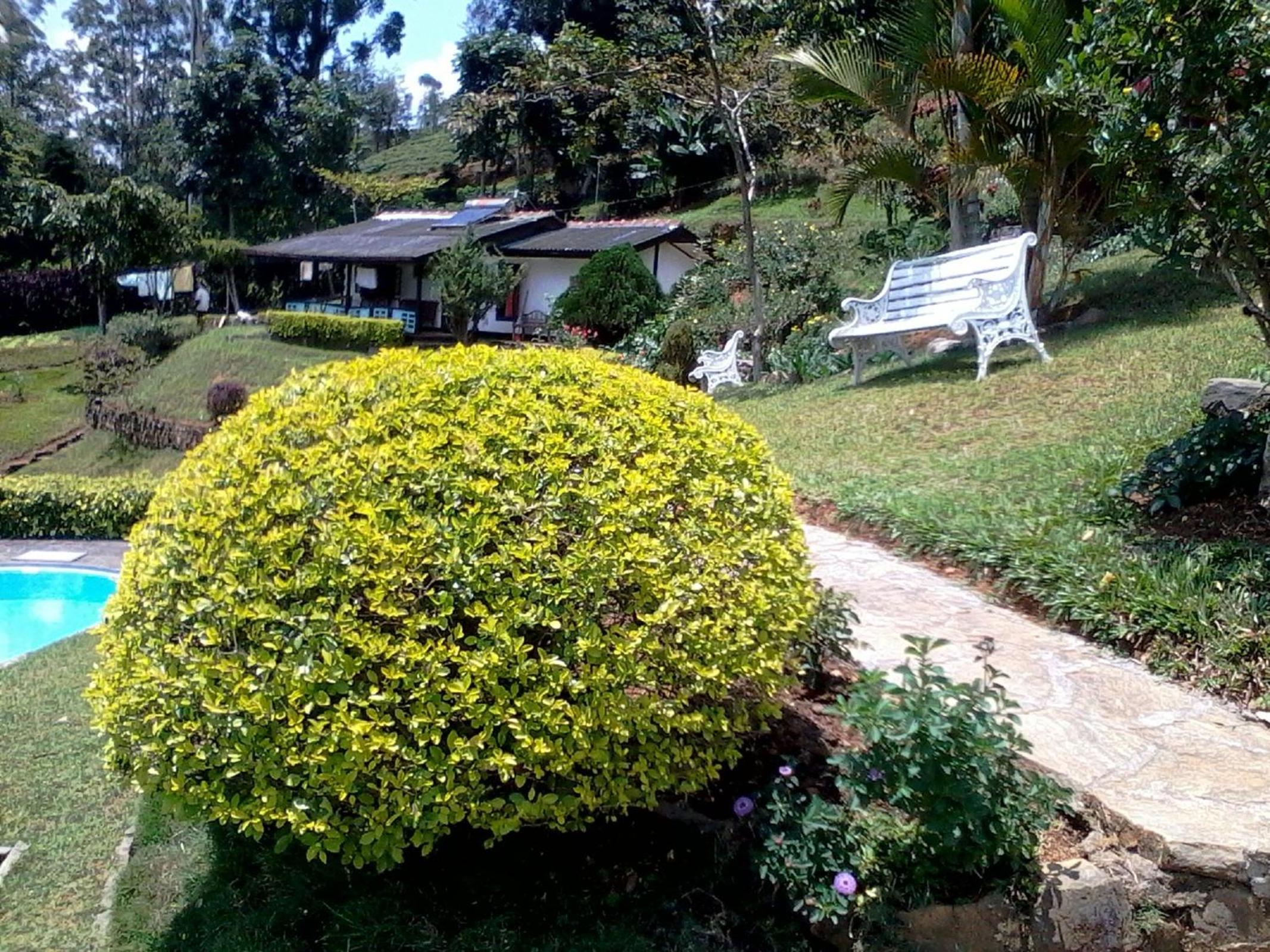 Photo 49