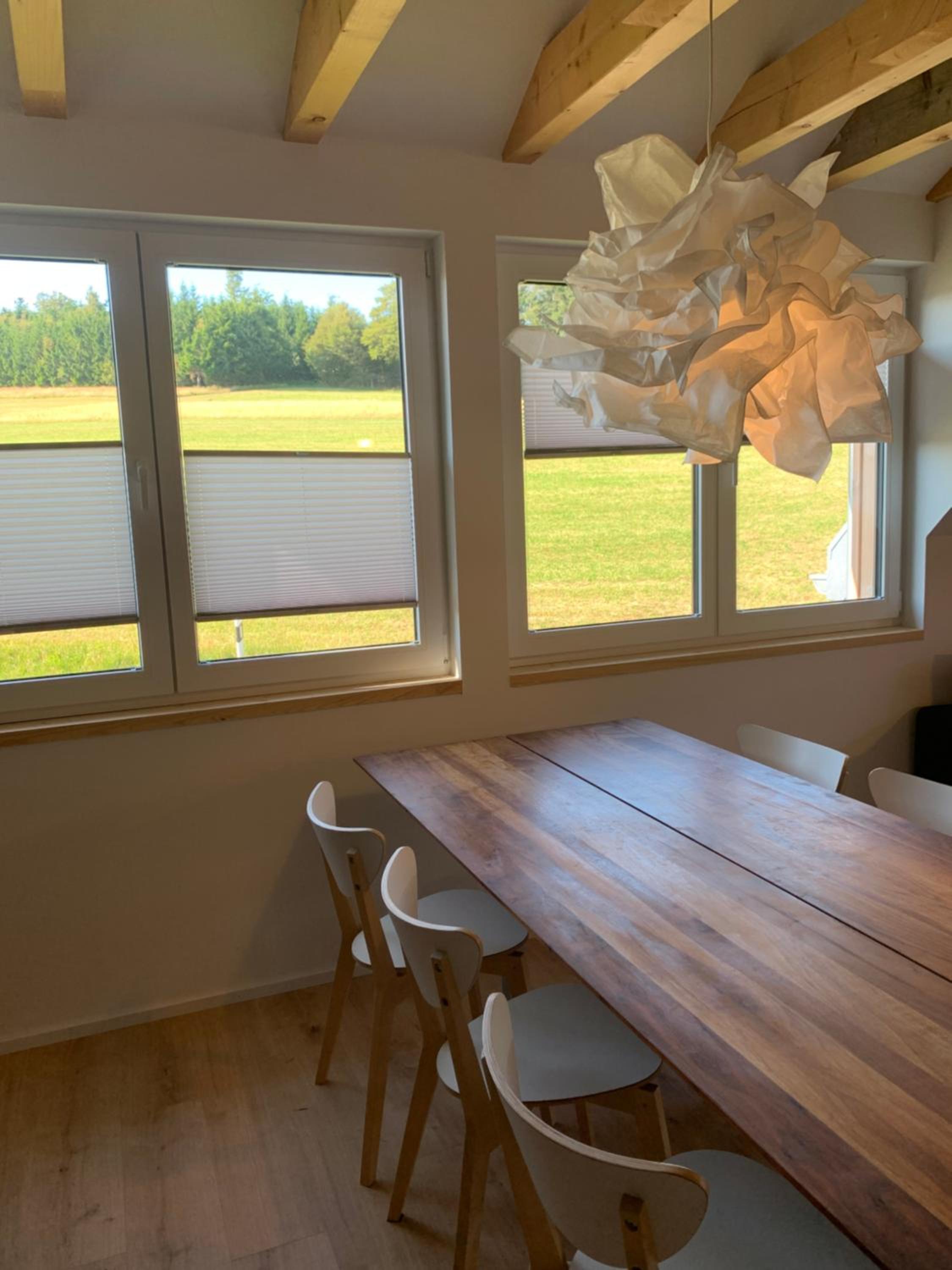 Blackforest Homestay Apartments