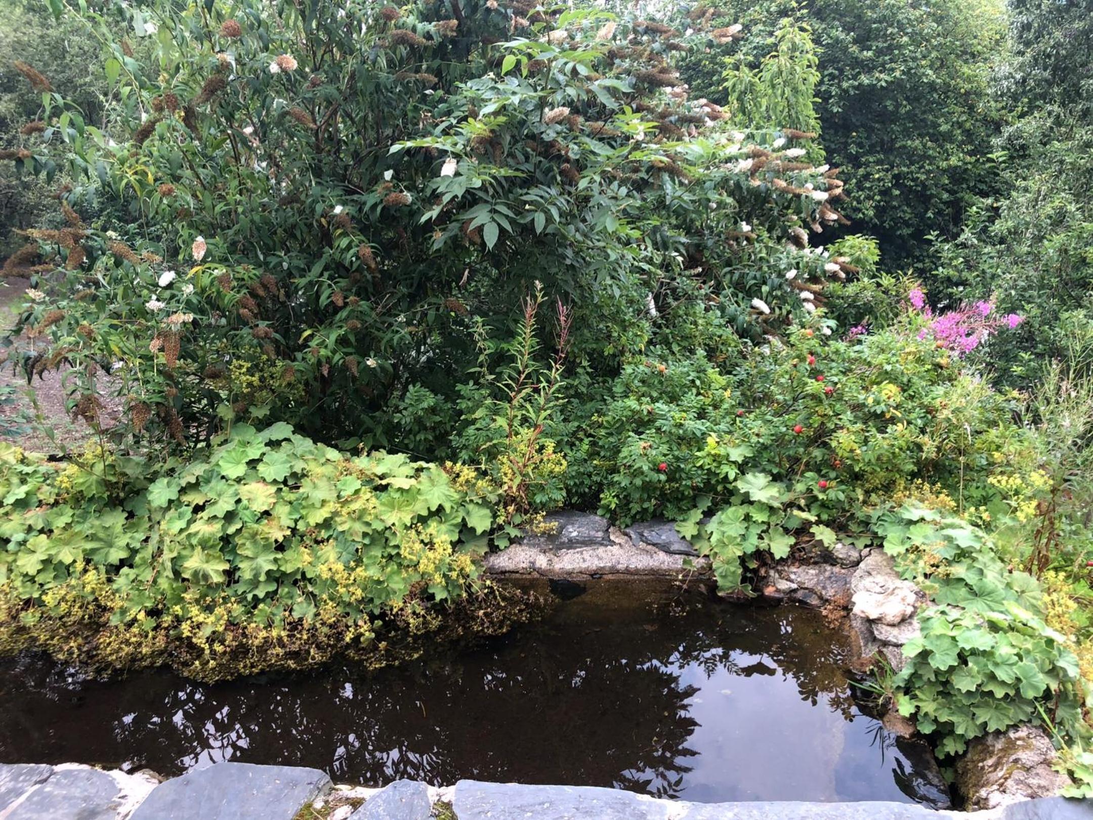 Photo 11