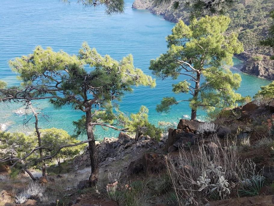 Photo 25