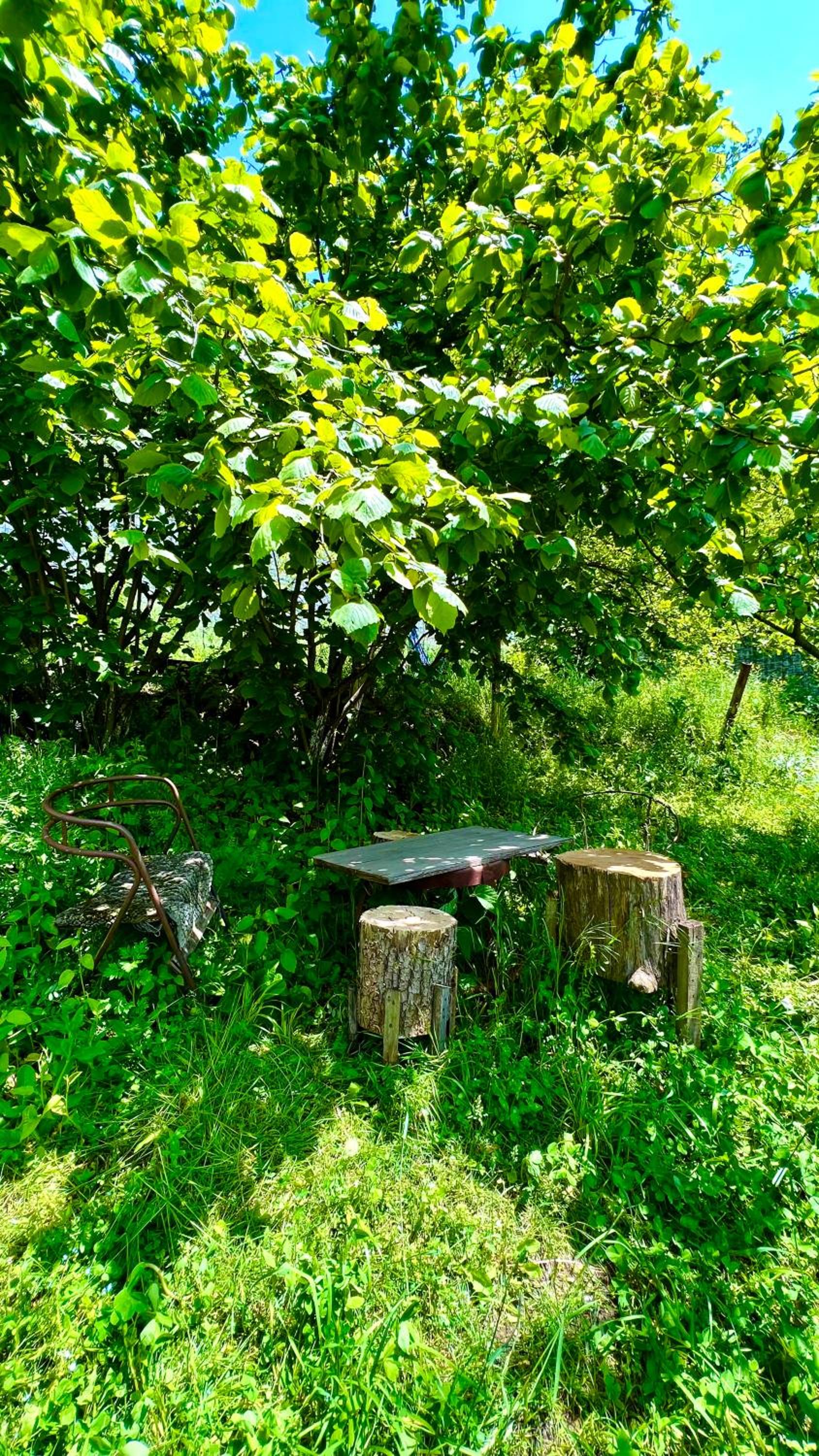 Mountain Top Getaway in Dilijan!