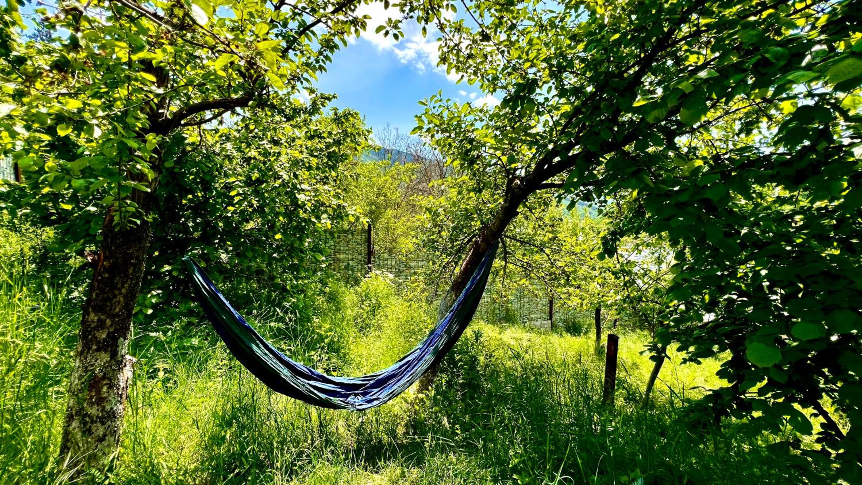 Mountain Top Getaway in Dilijan!