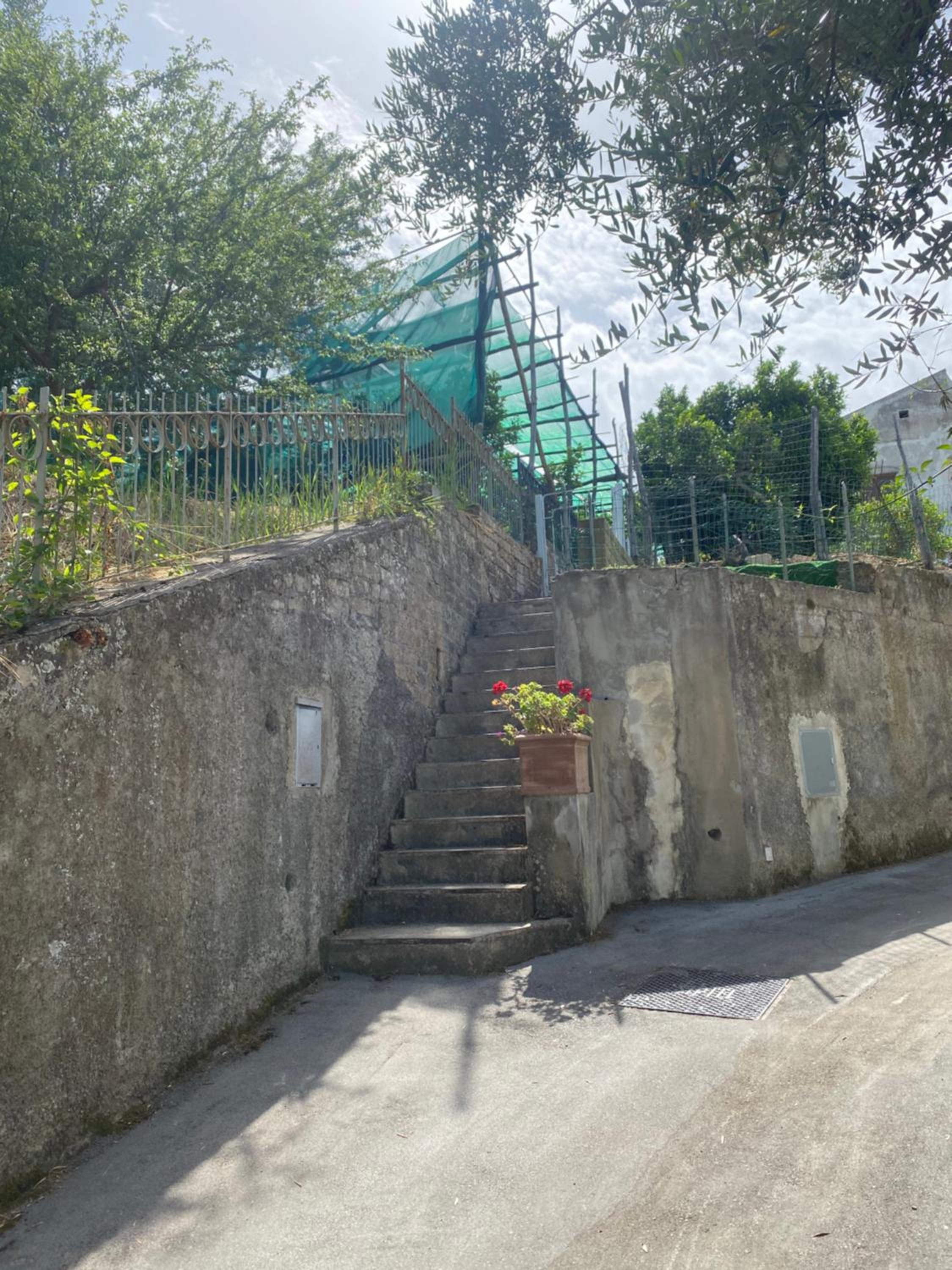 Firefly Home Sorrento