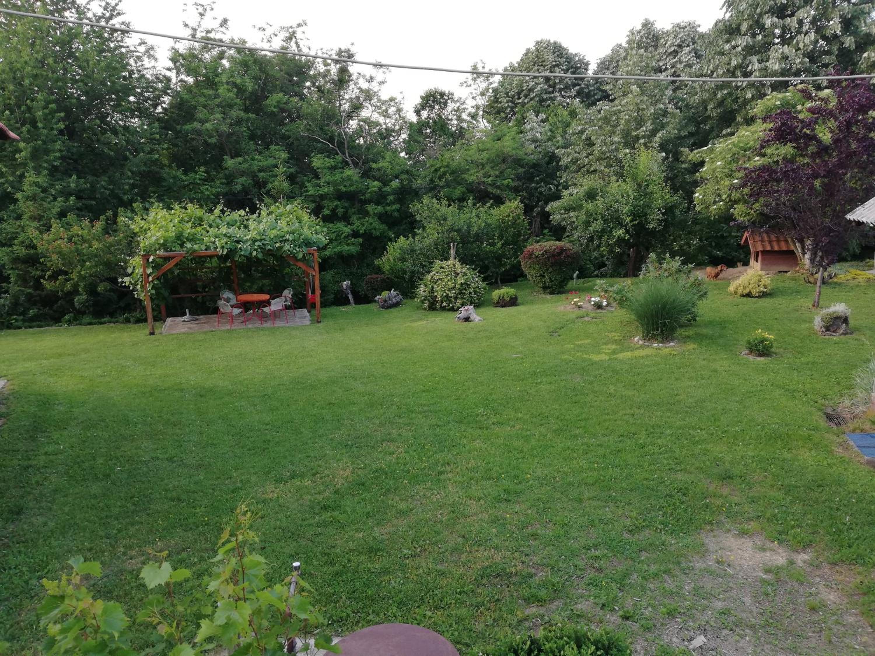 Photo 21