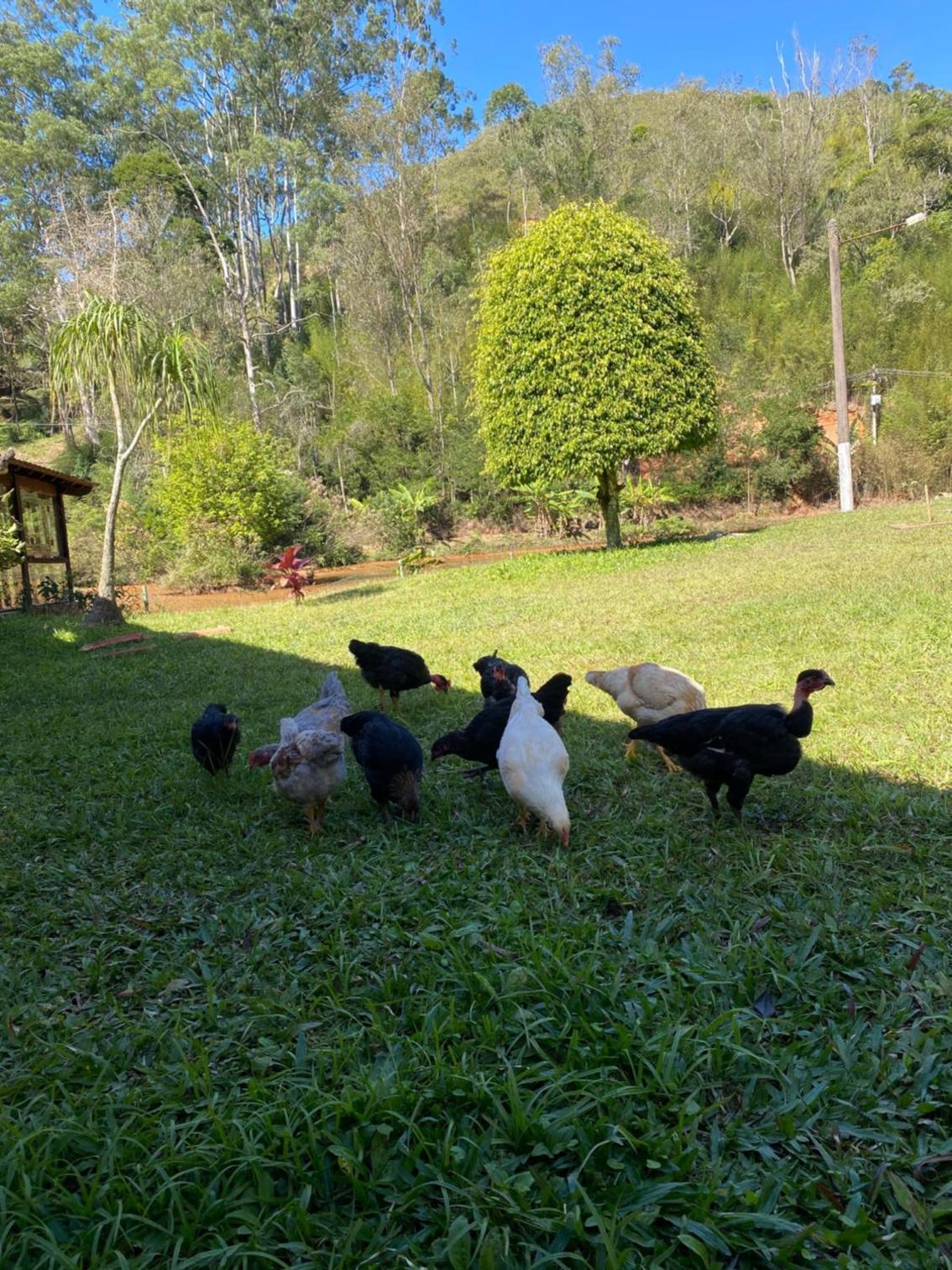 Hotel Fazenda Bonanza