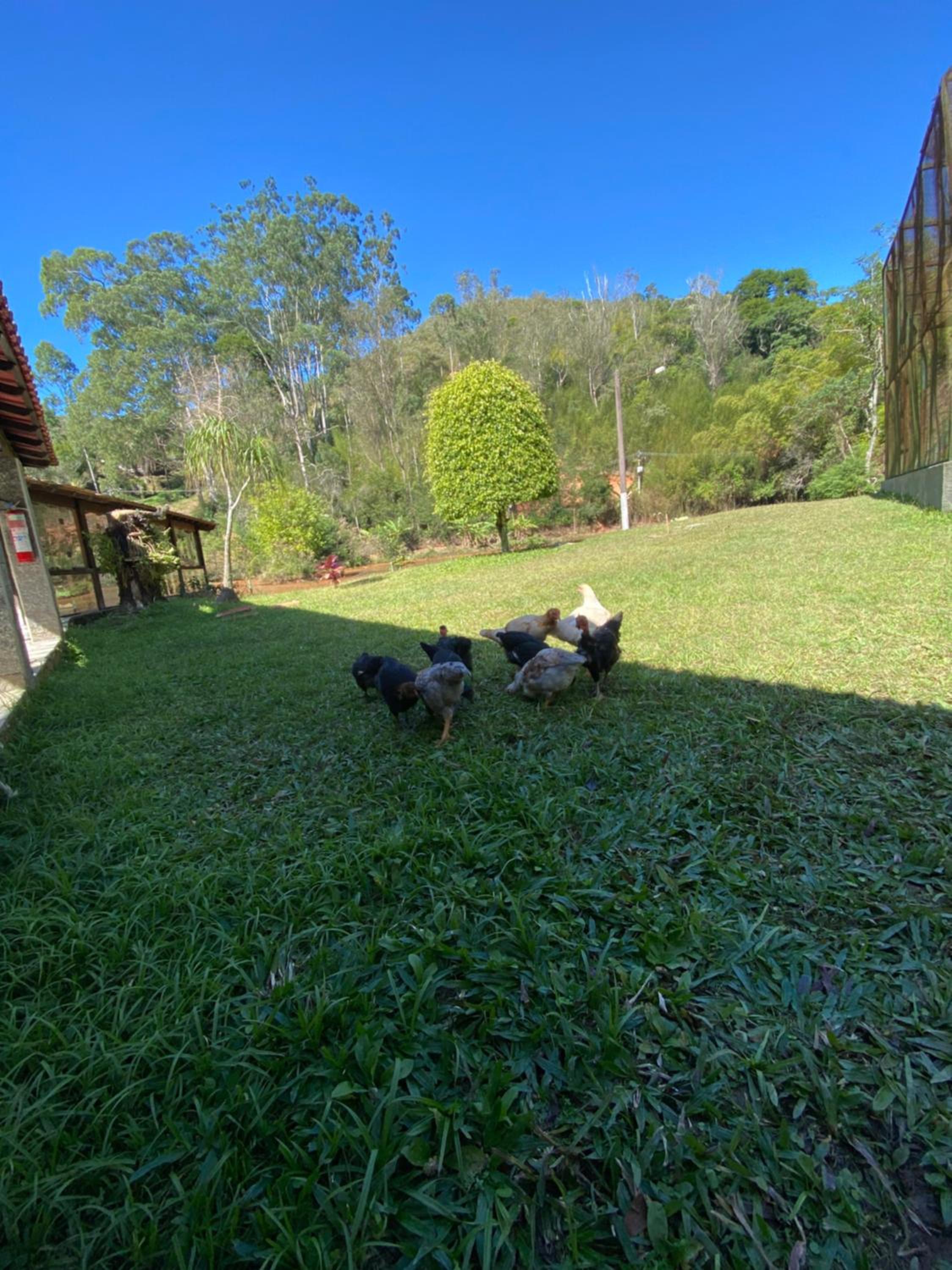 Hotel Fazenda Bonanza