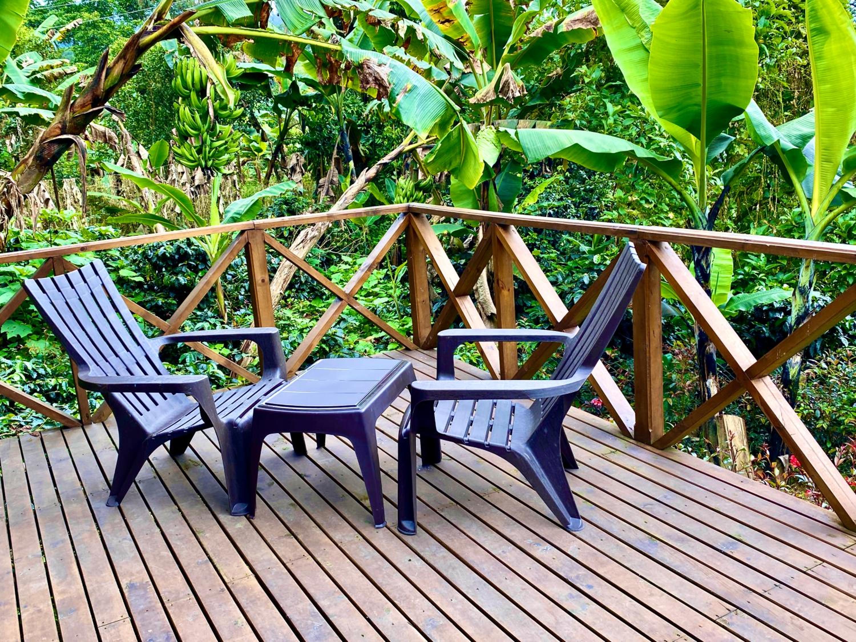 Finca Agroturistica Descubre tu Regalo