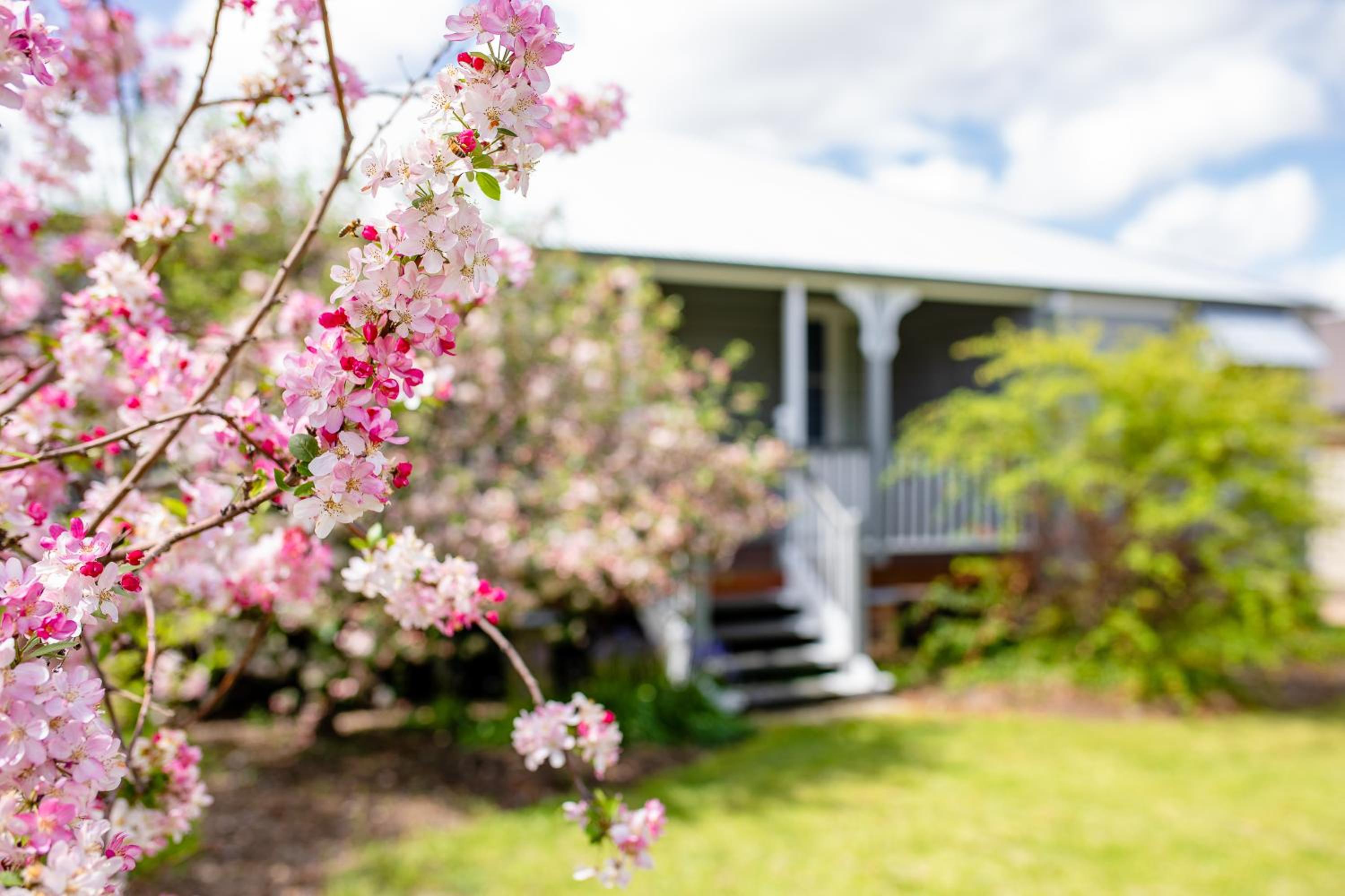 Apple Blossom Cottages