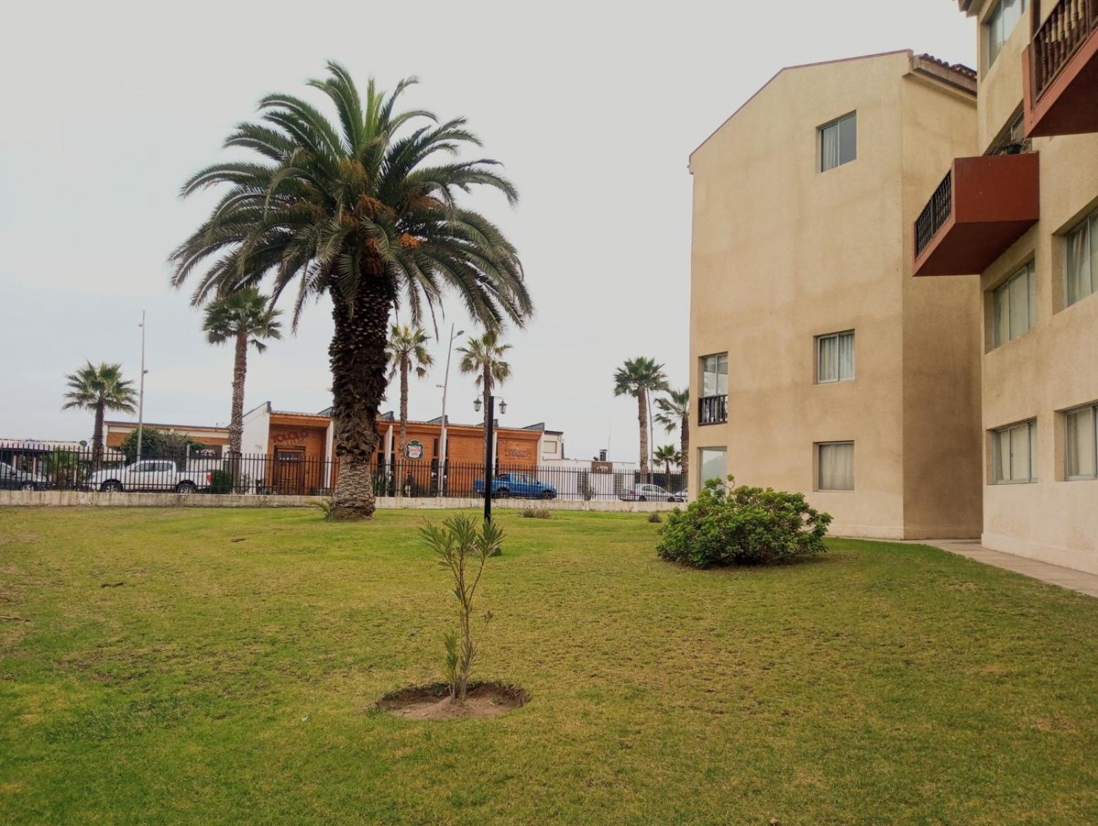 Photo 35
