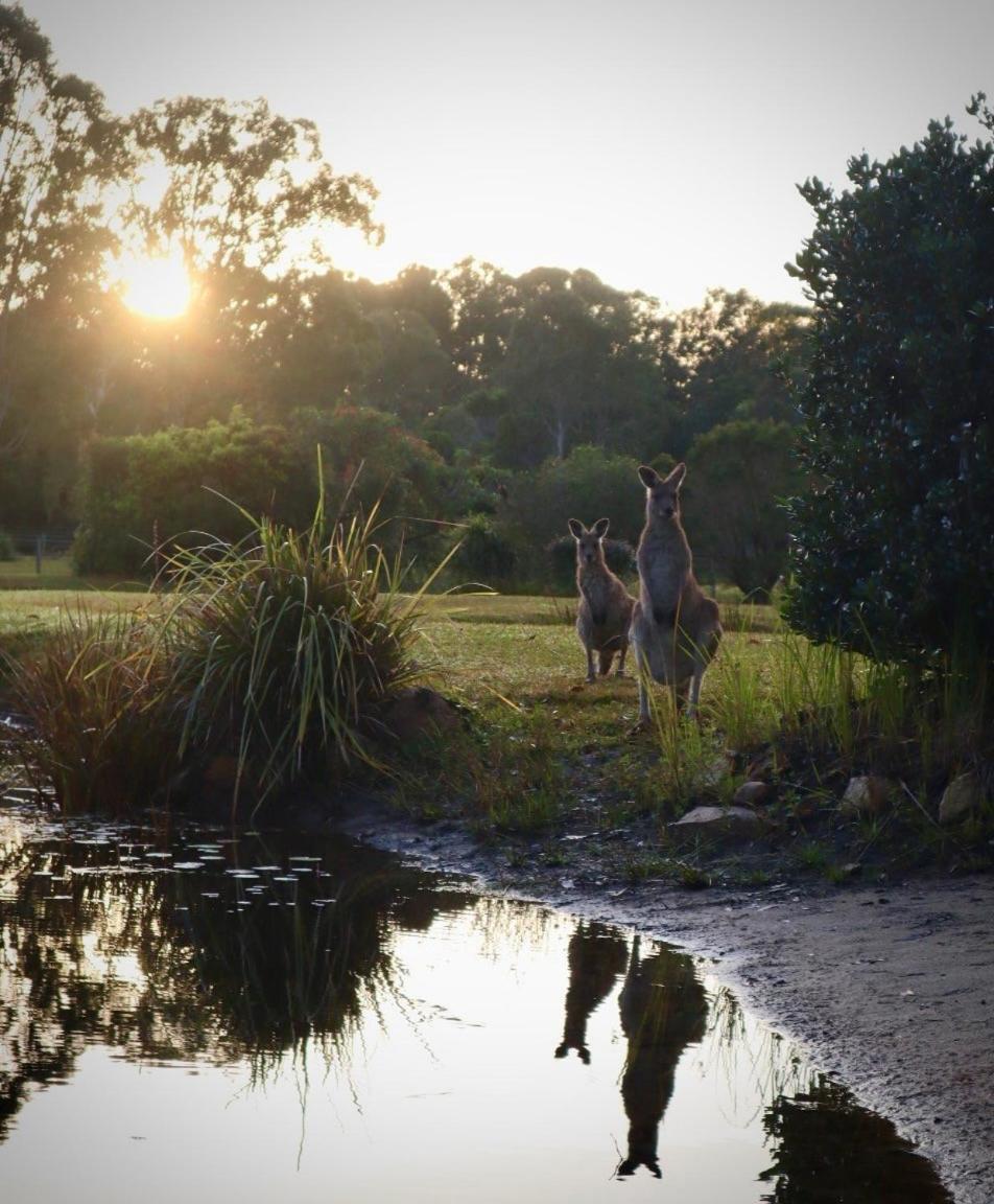 Lake Weyba Cottages Noosa view 4