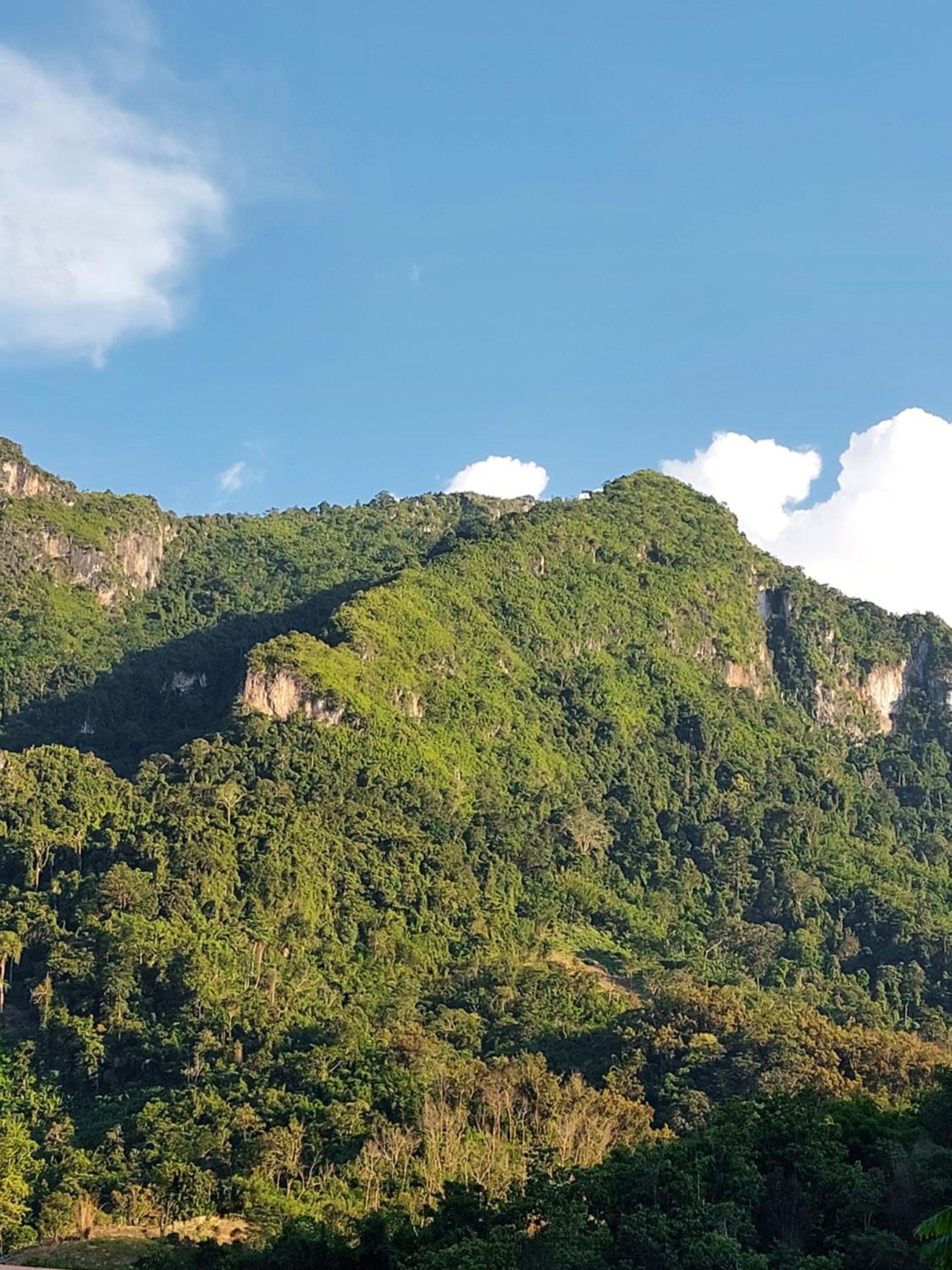 Nam ou view villa