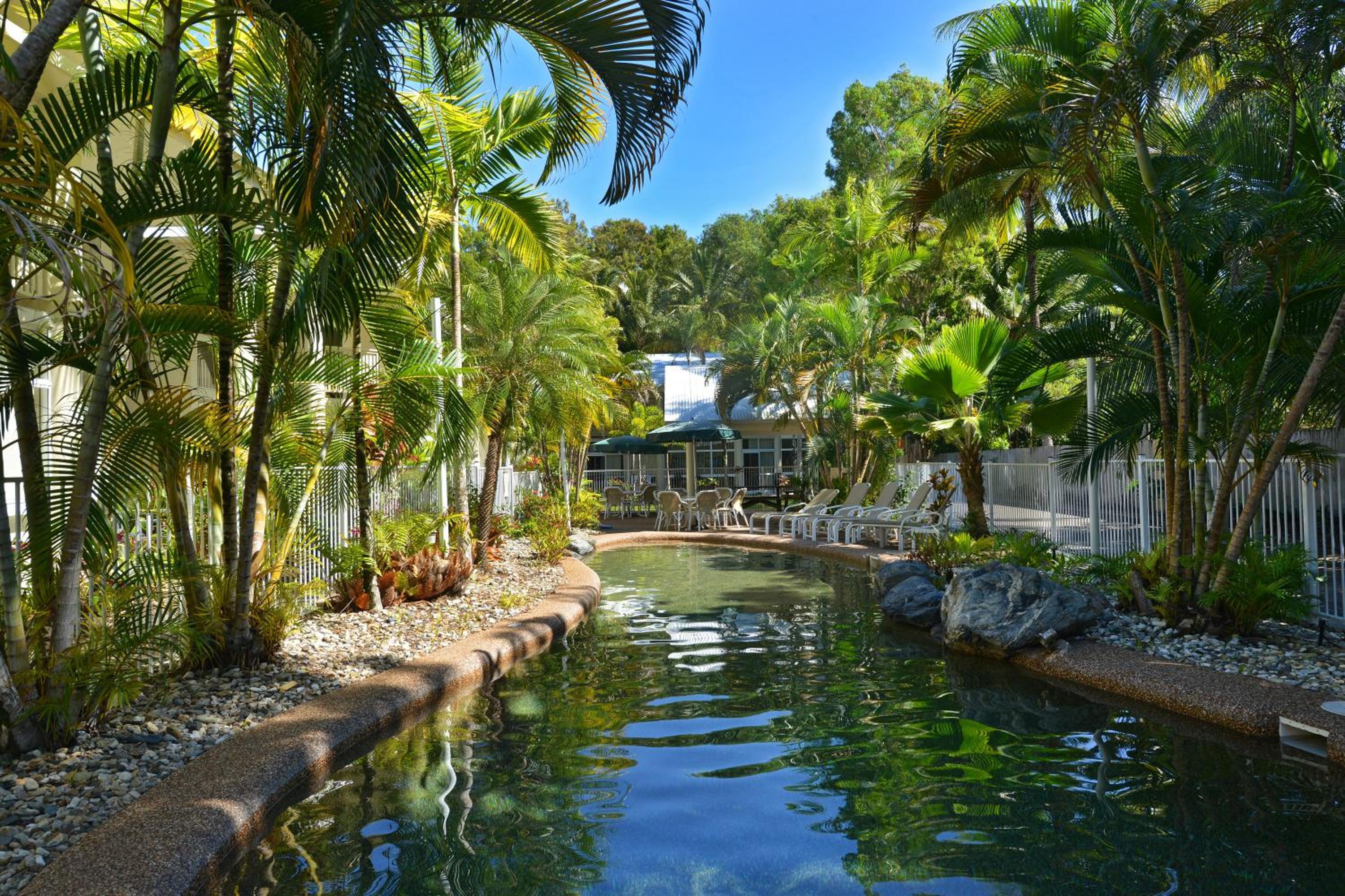 Tropical Palms