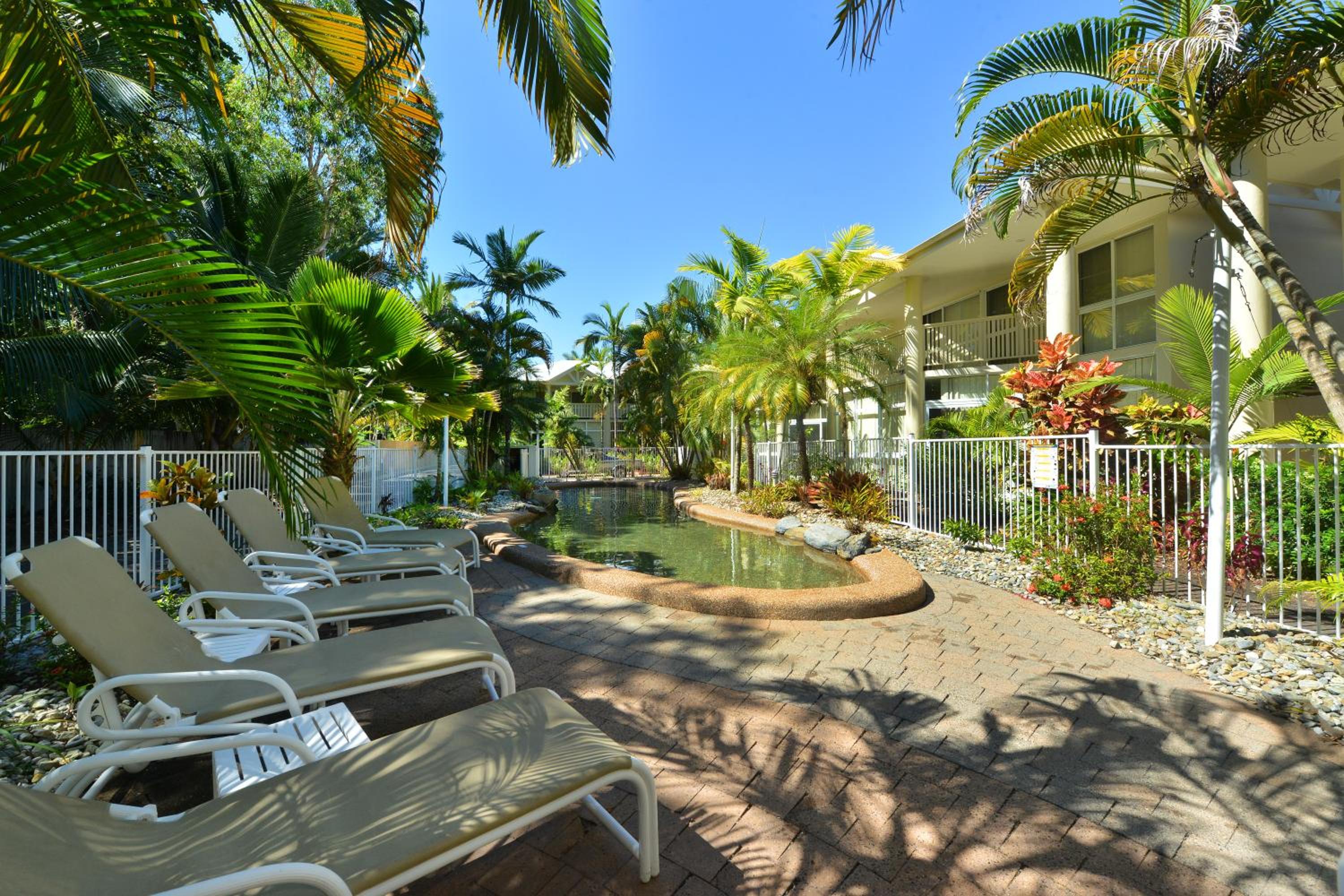 Tropical Palms