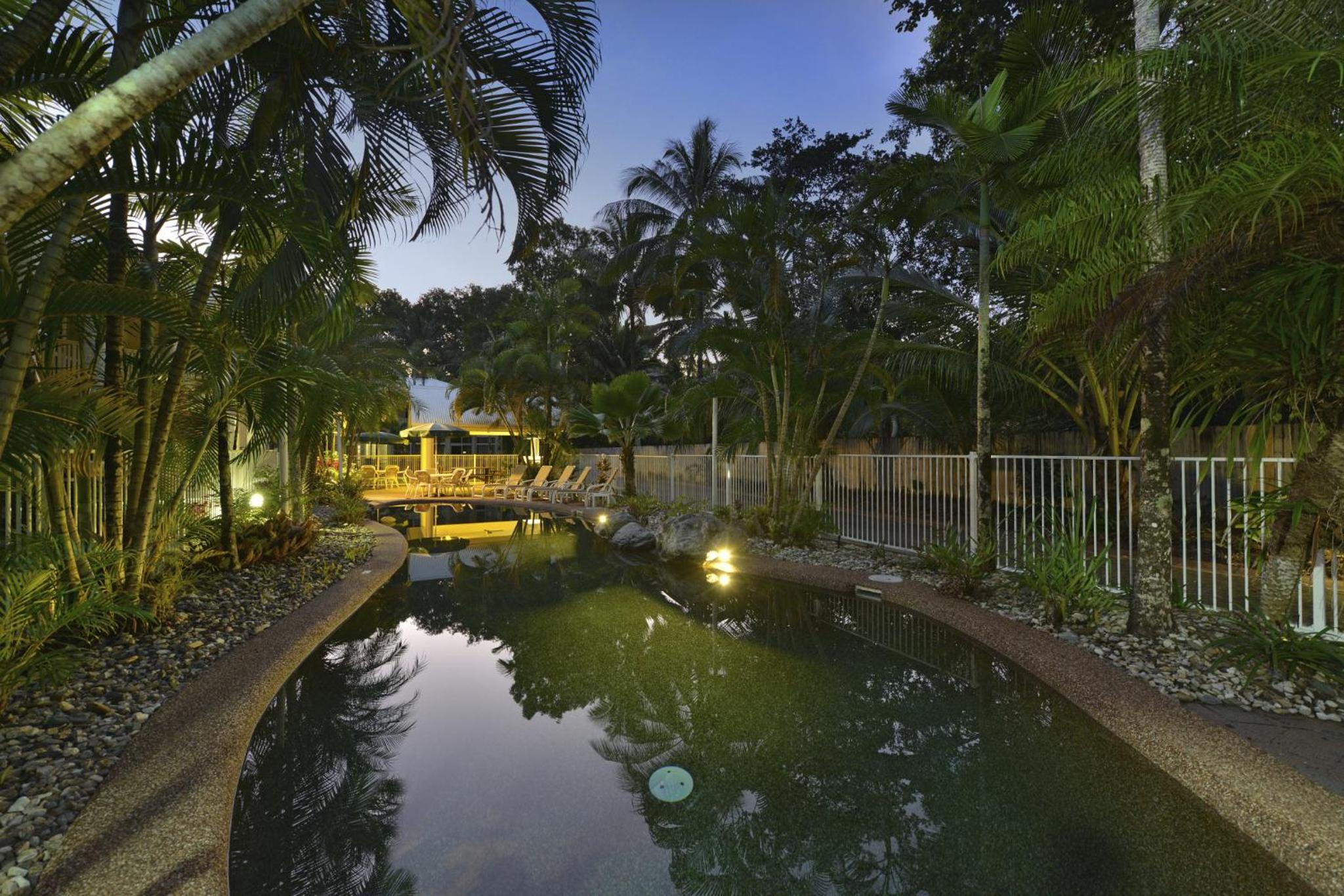 Tropical Palms