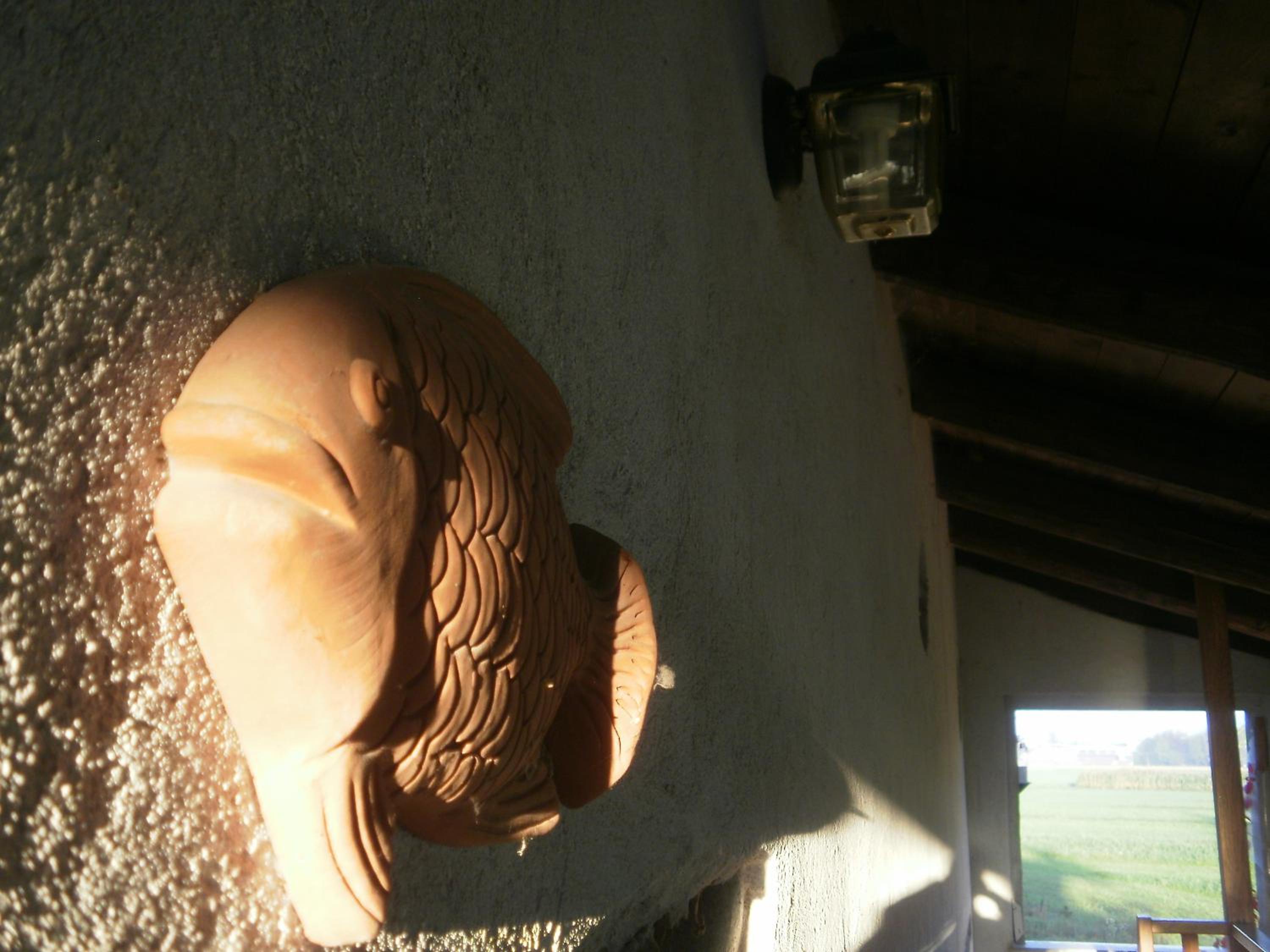 Bed and breakfast Al Rudun