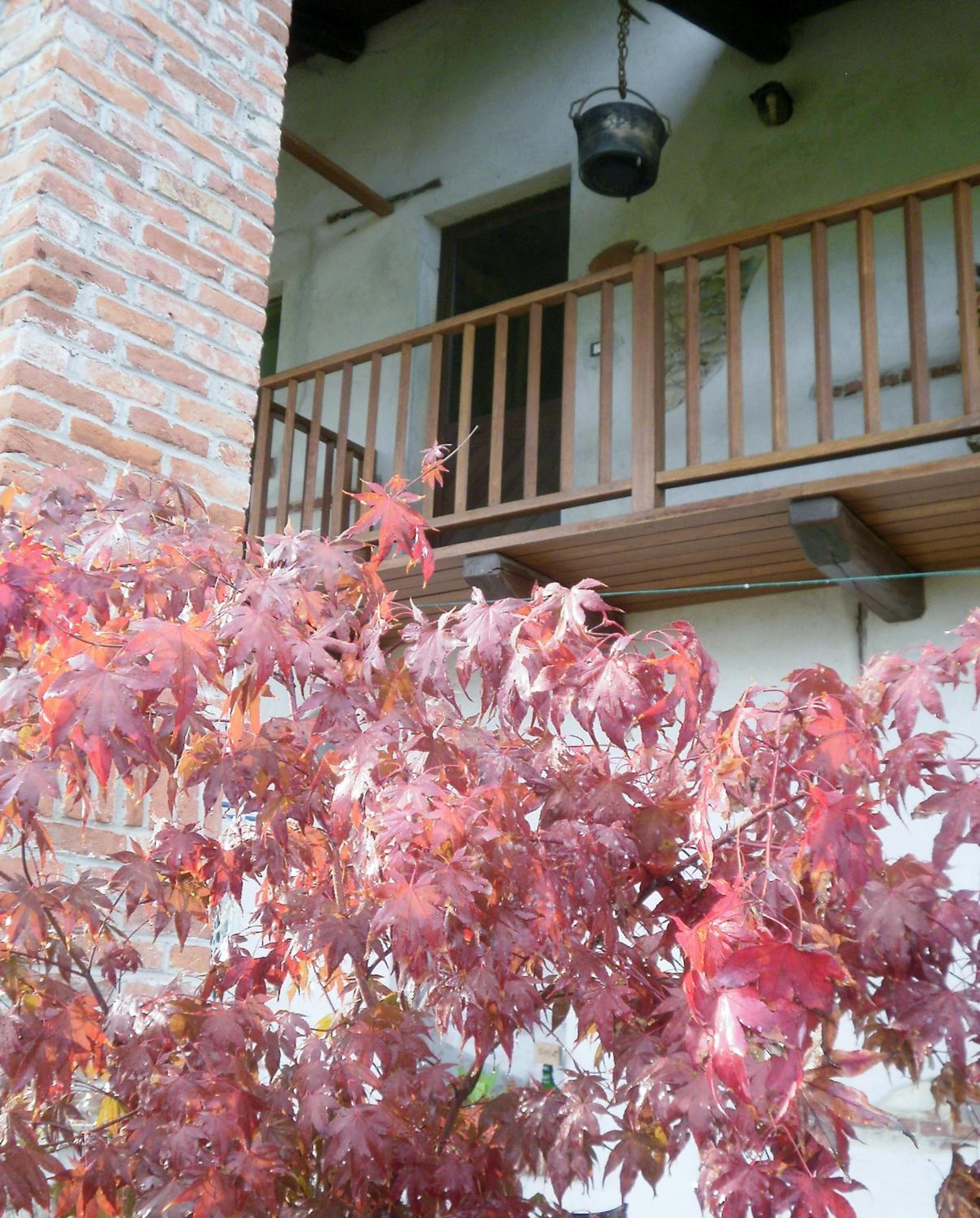Bed and breakfast Al Rudun