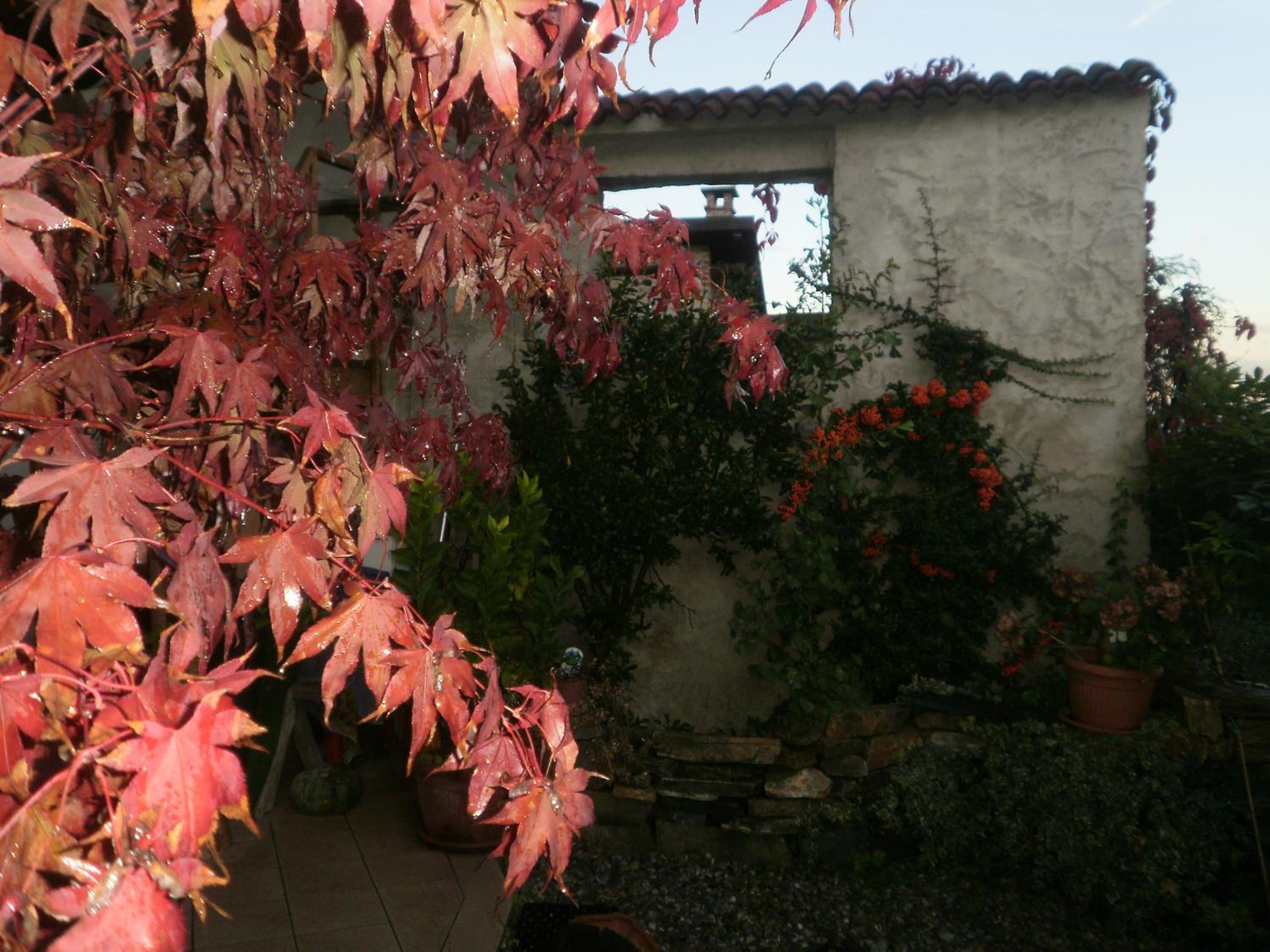 Bed and breakfast Al Rudun