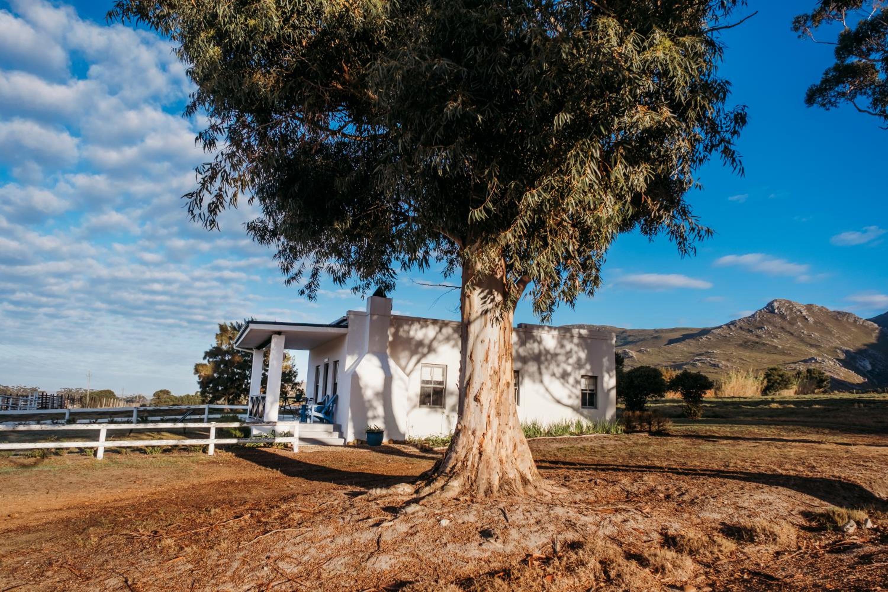 White Water Farm