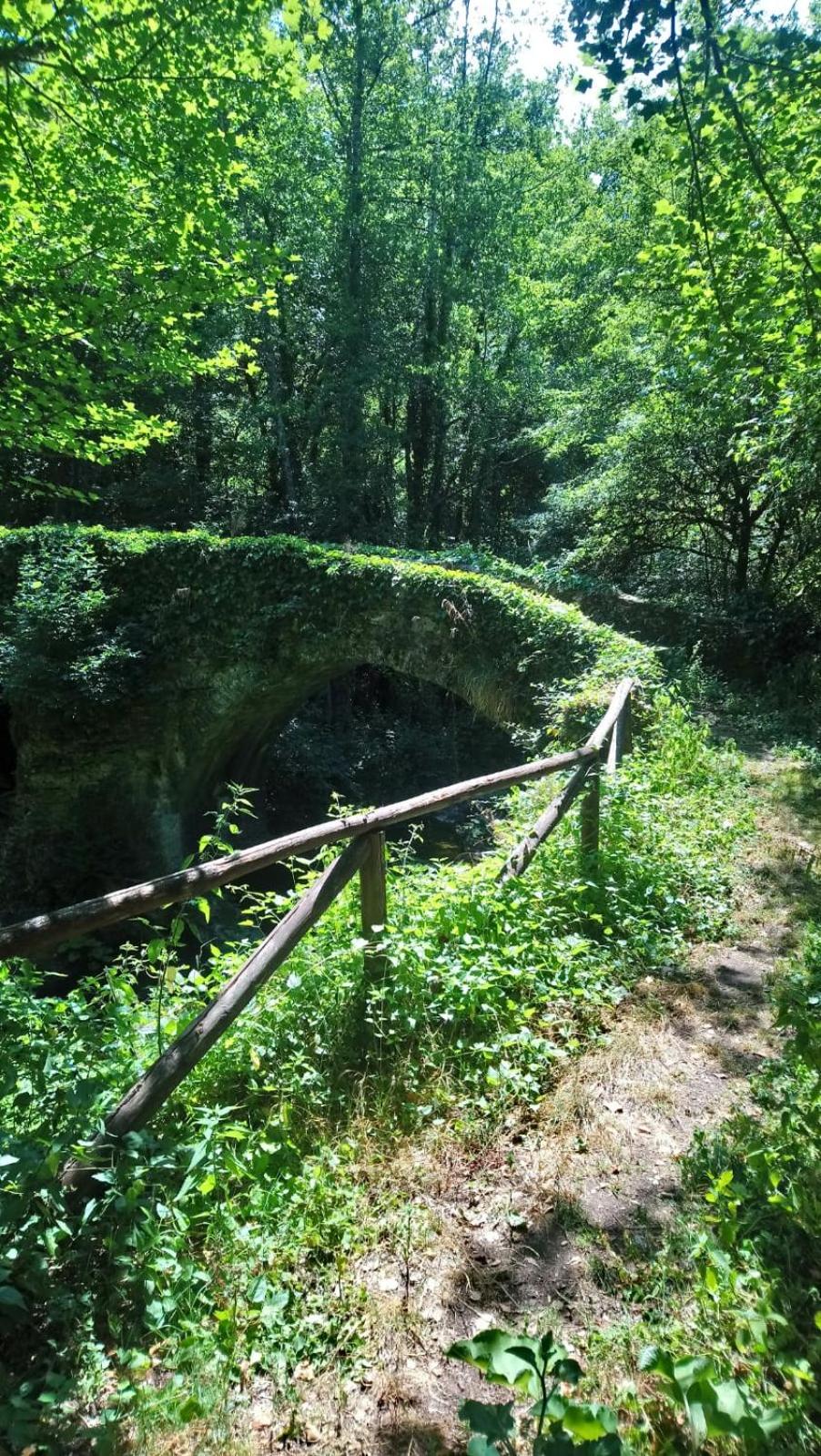 Photo 40
