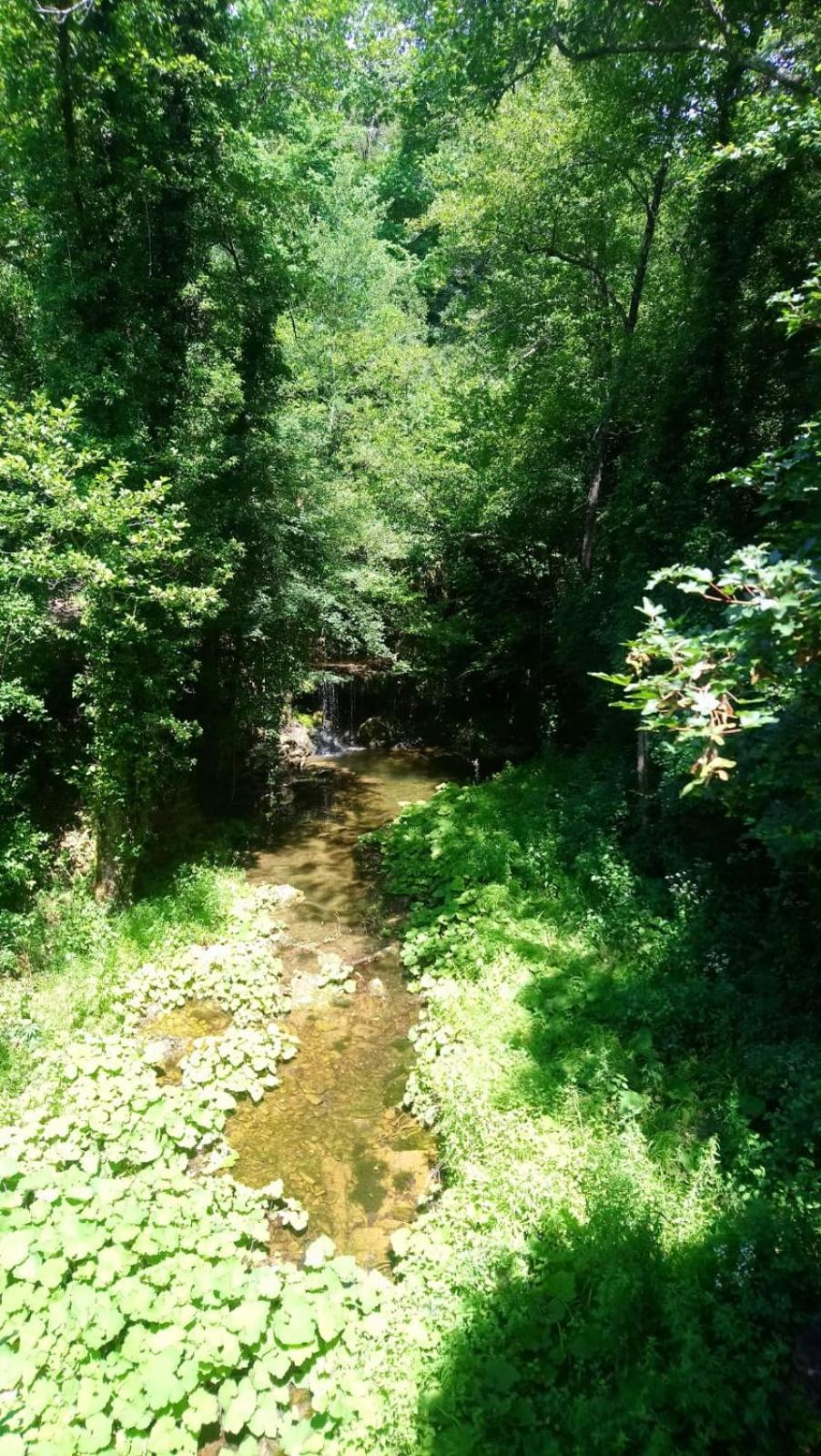 Photo 41